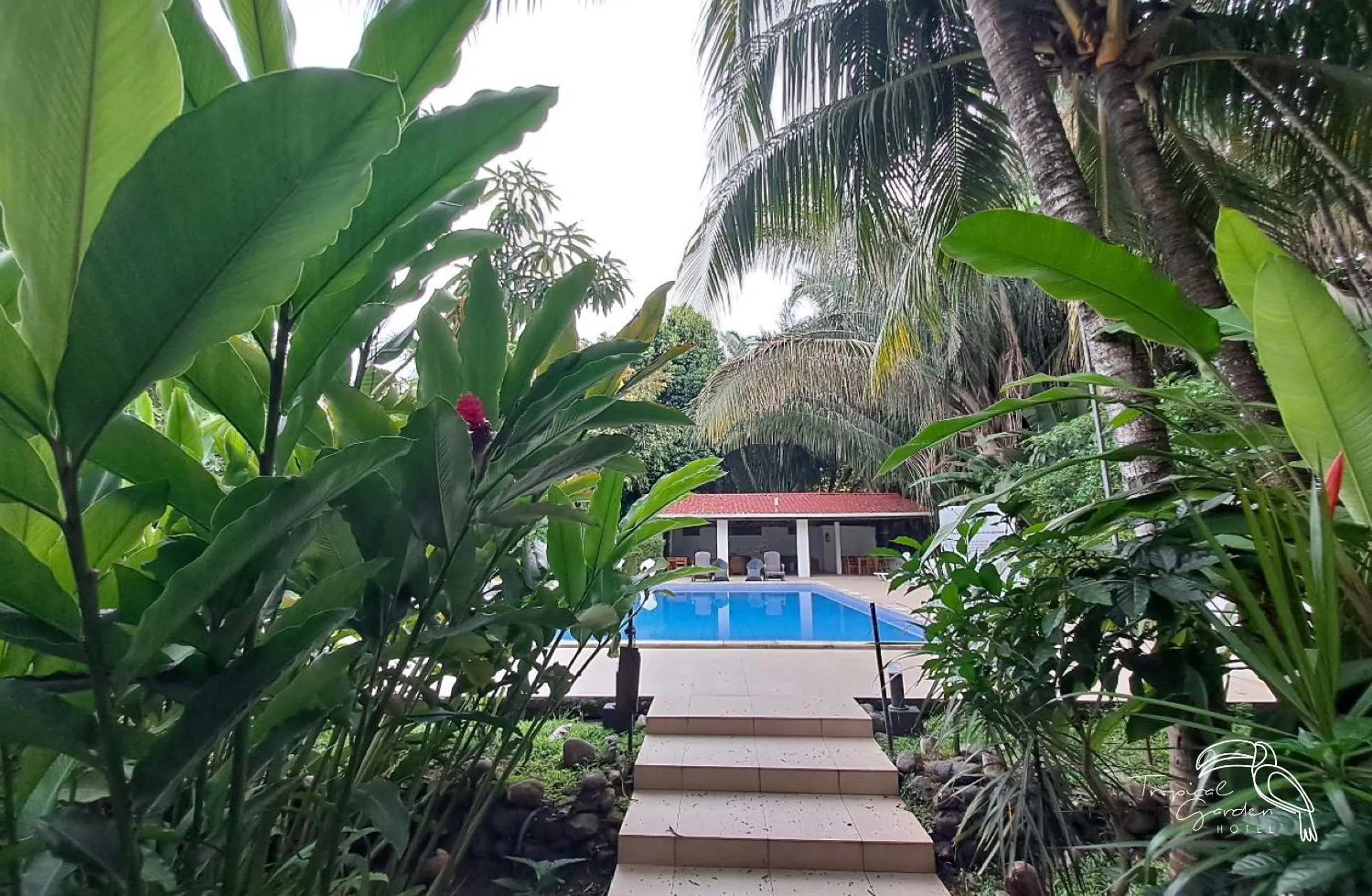 Swimming pool in Tropical Garden Hotel