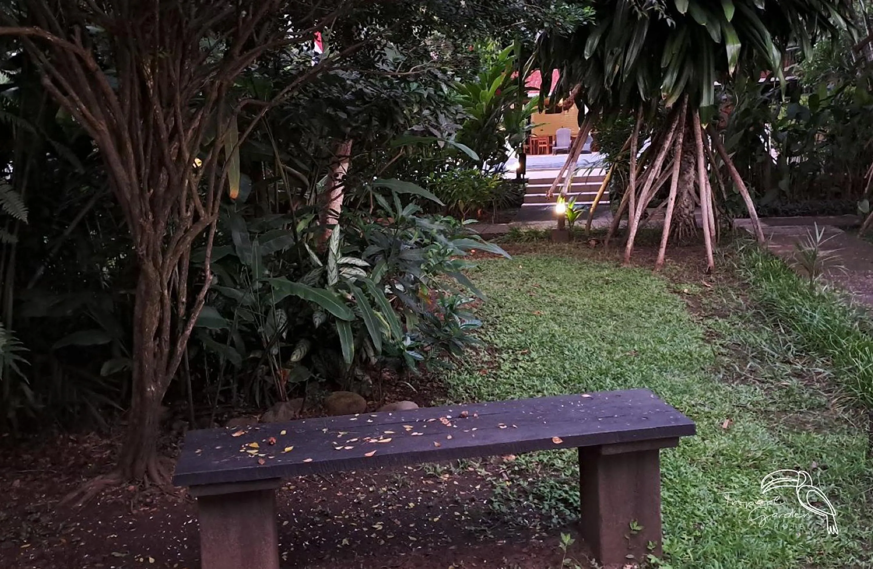 Garden in Tropical Garden Hotel
