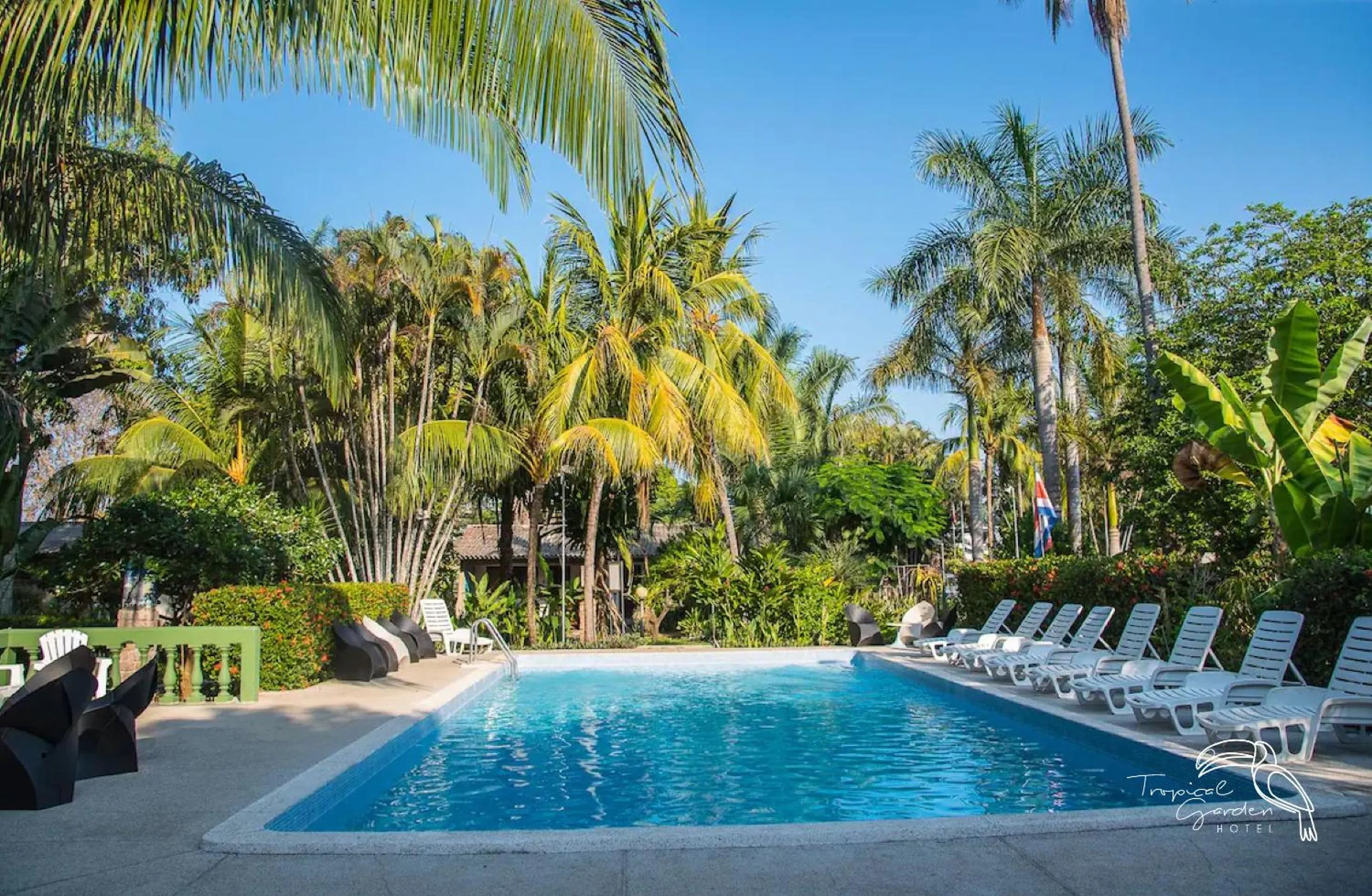 Swimming pool in Tropical Garden Hotel