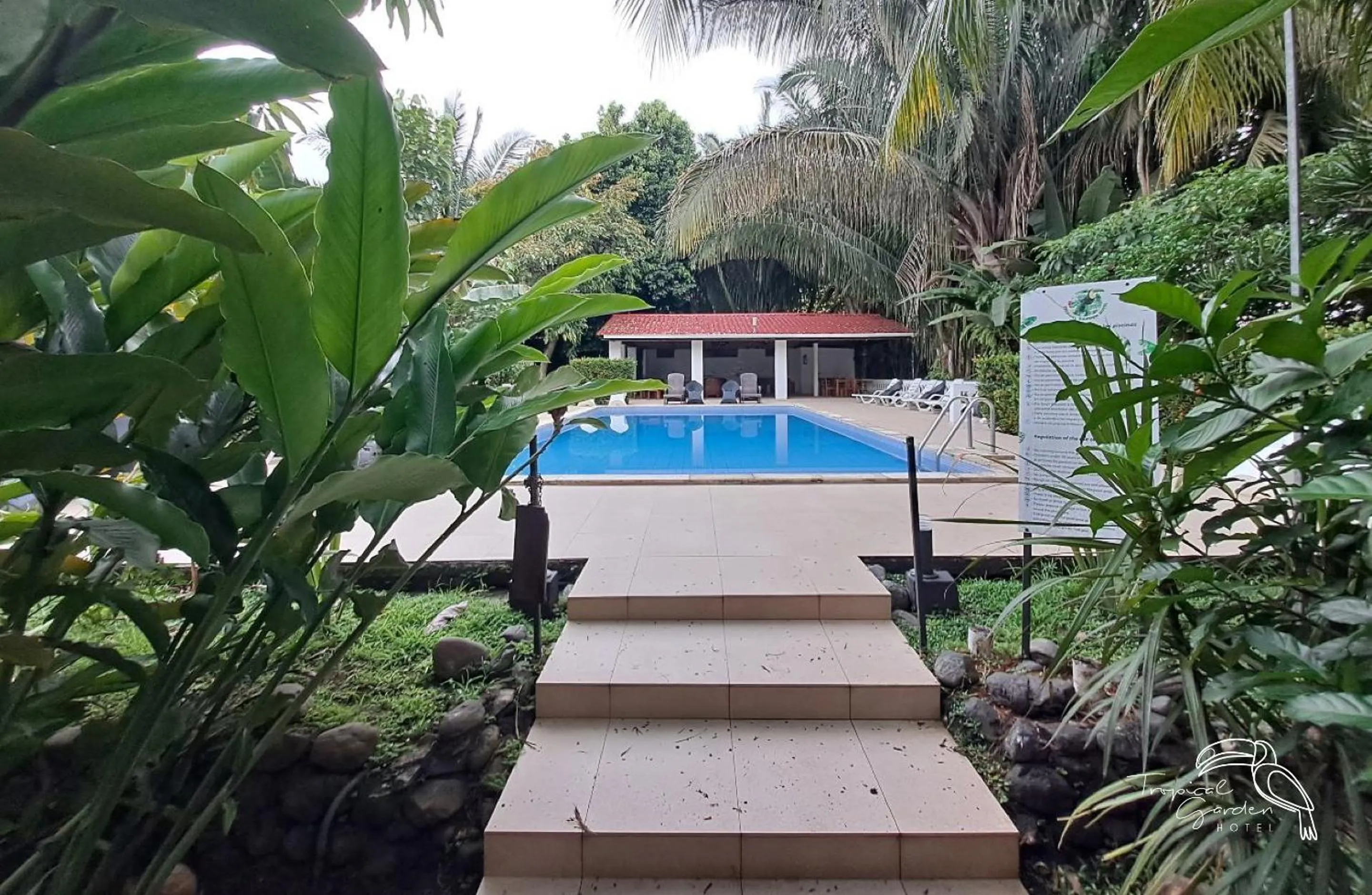 Swimming pool in Tropical Garden Hotel