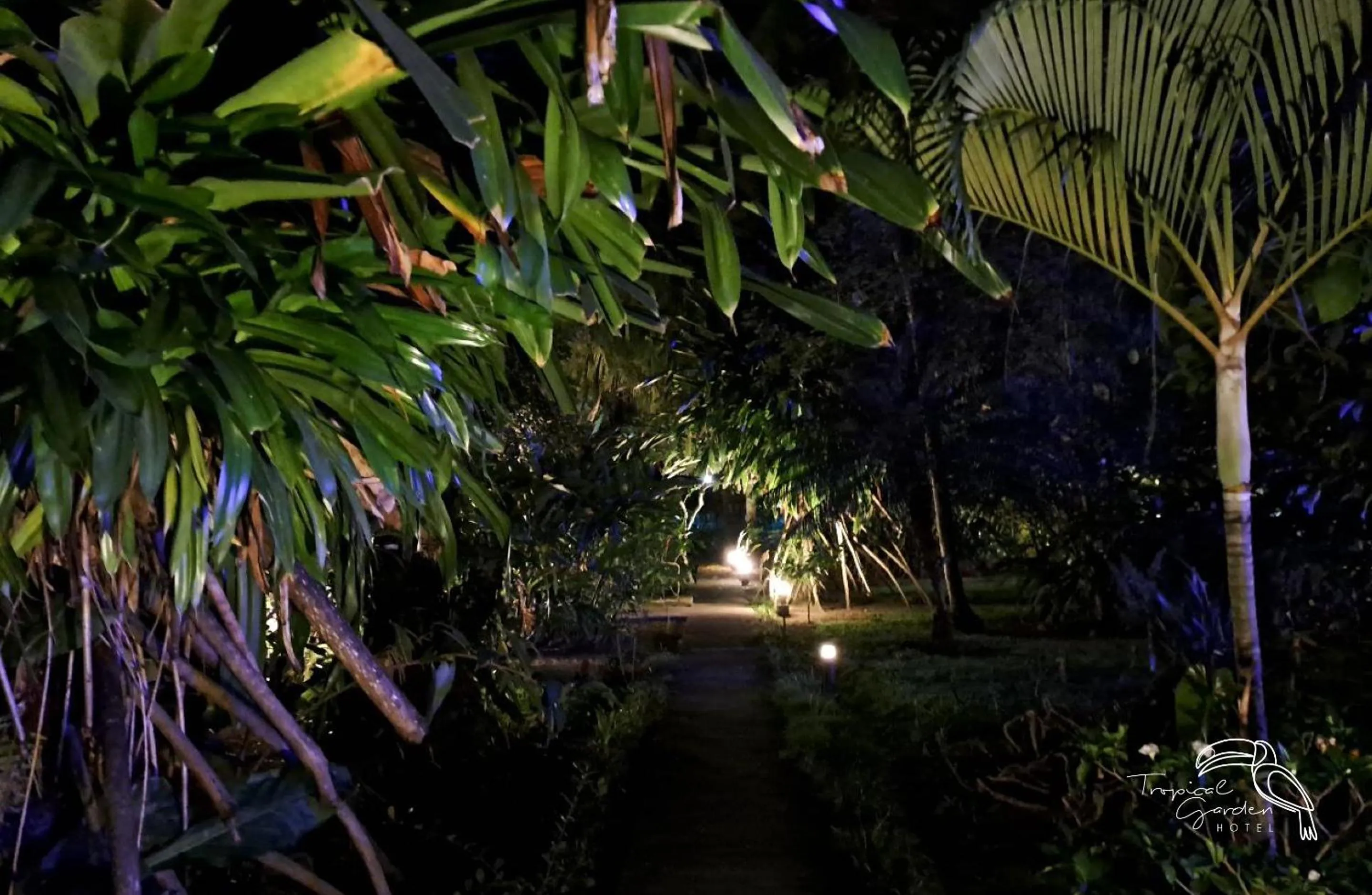 Night in Tropical Garden Hotel