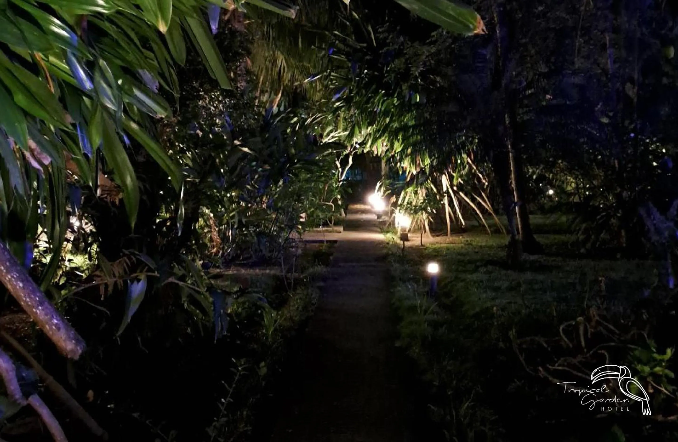Night in Tropical Garden Hotel