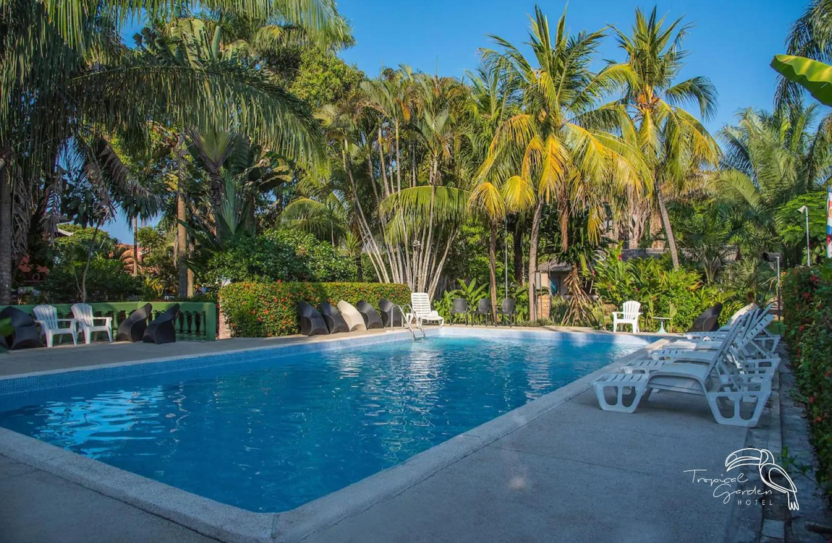Swimming pool in Tropical Garden Hotel