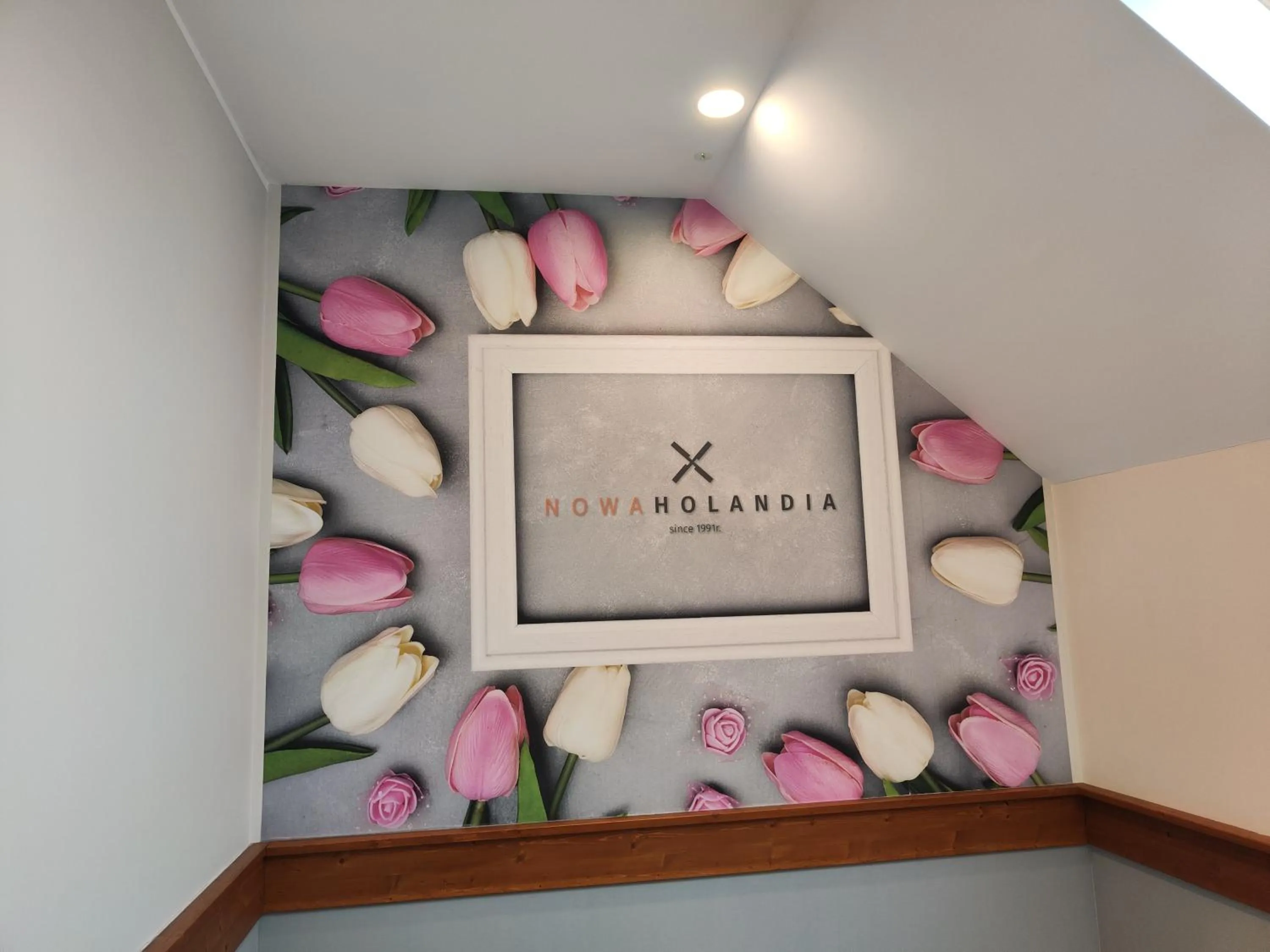 Other in Hotel Nowa Holandia