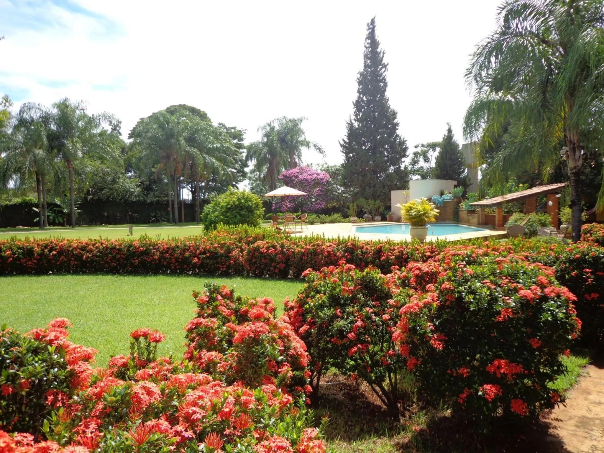 Garden in Hotel Pousada Chalé das Flores