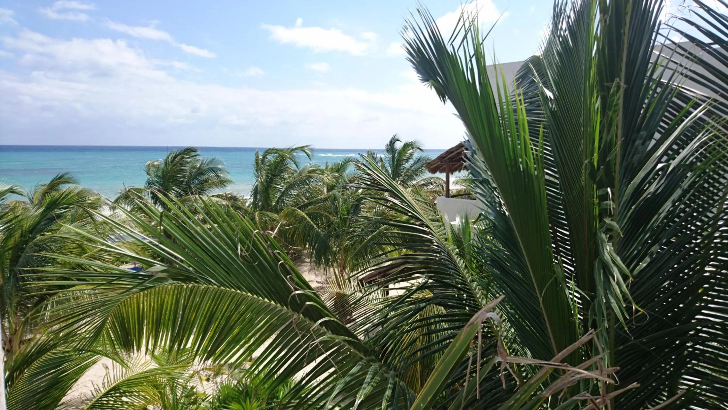 Garden in Almaplena Boutique Hotel