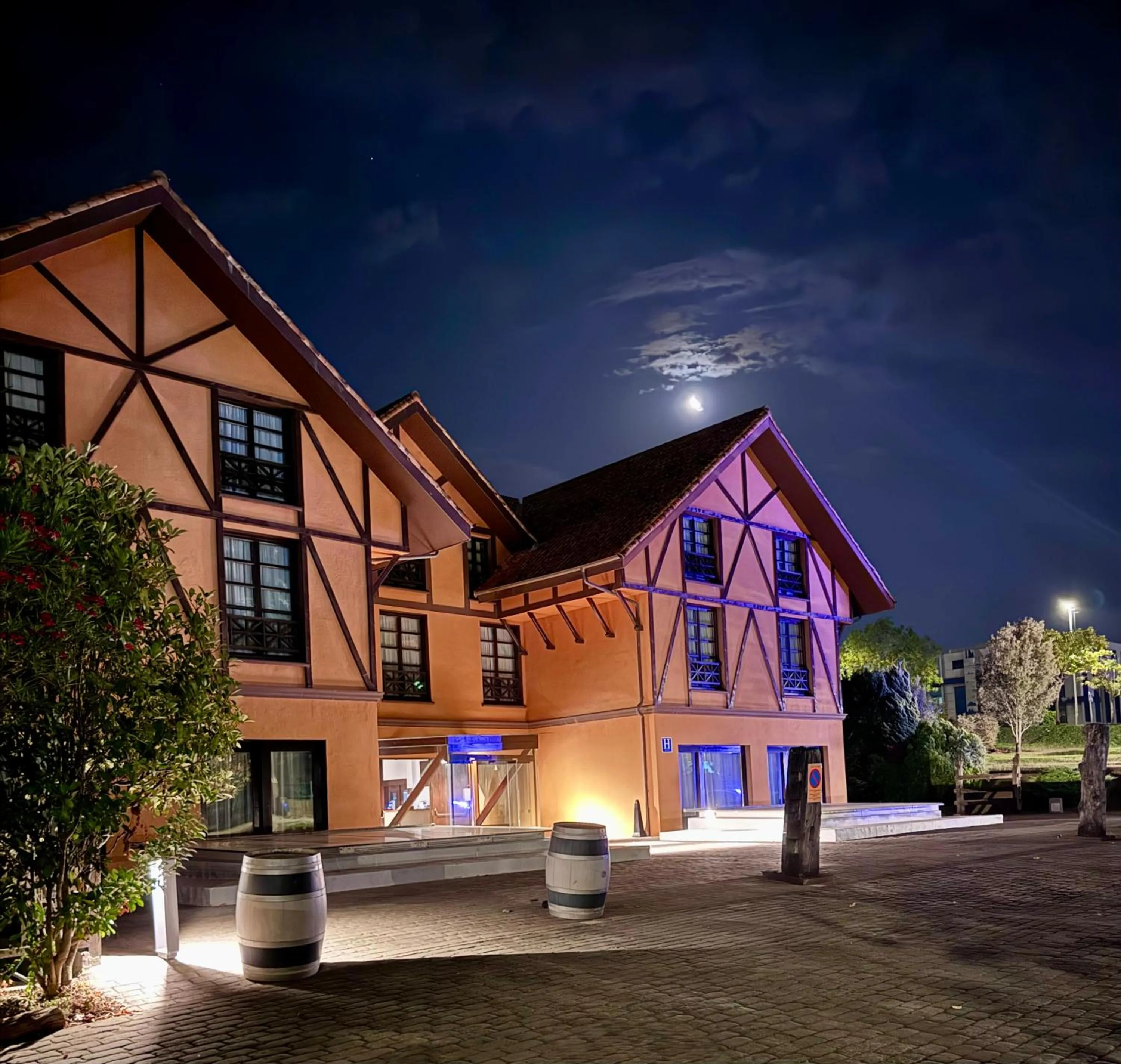 Hotel The Park Derio