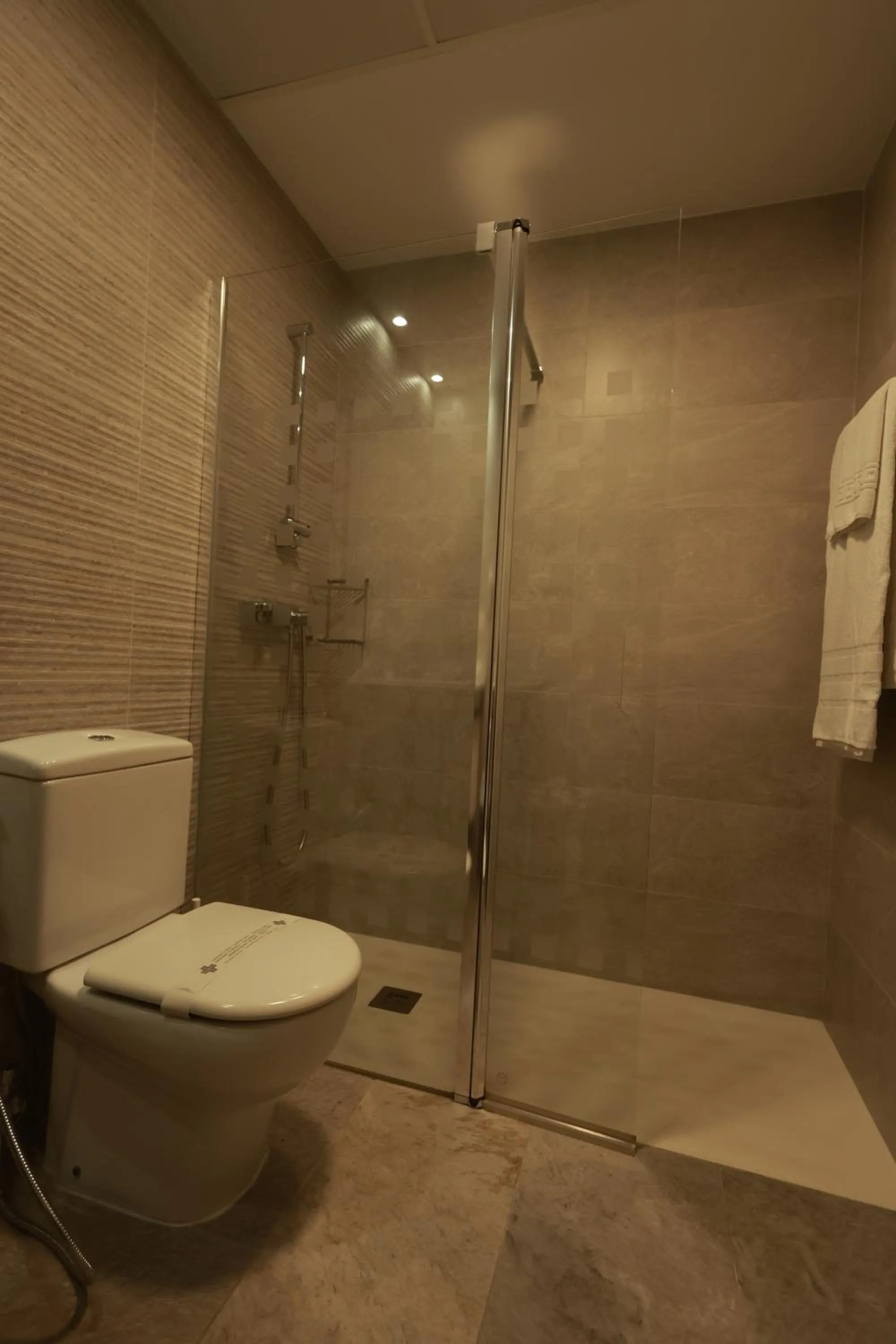 Shower in Hotel The Park Derio