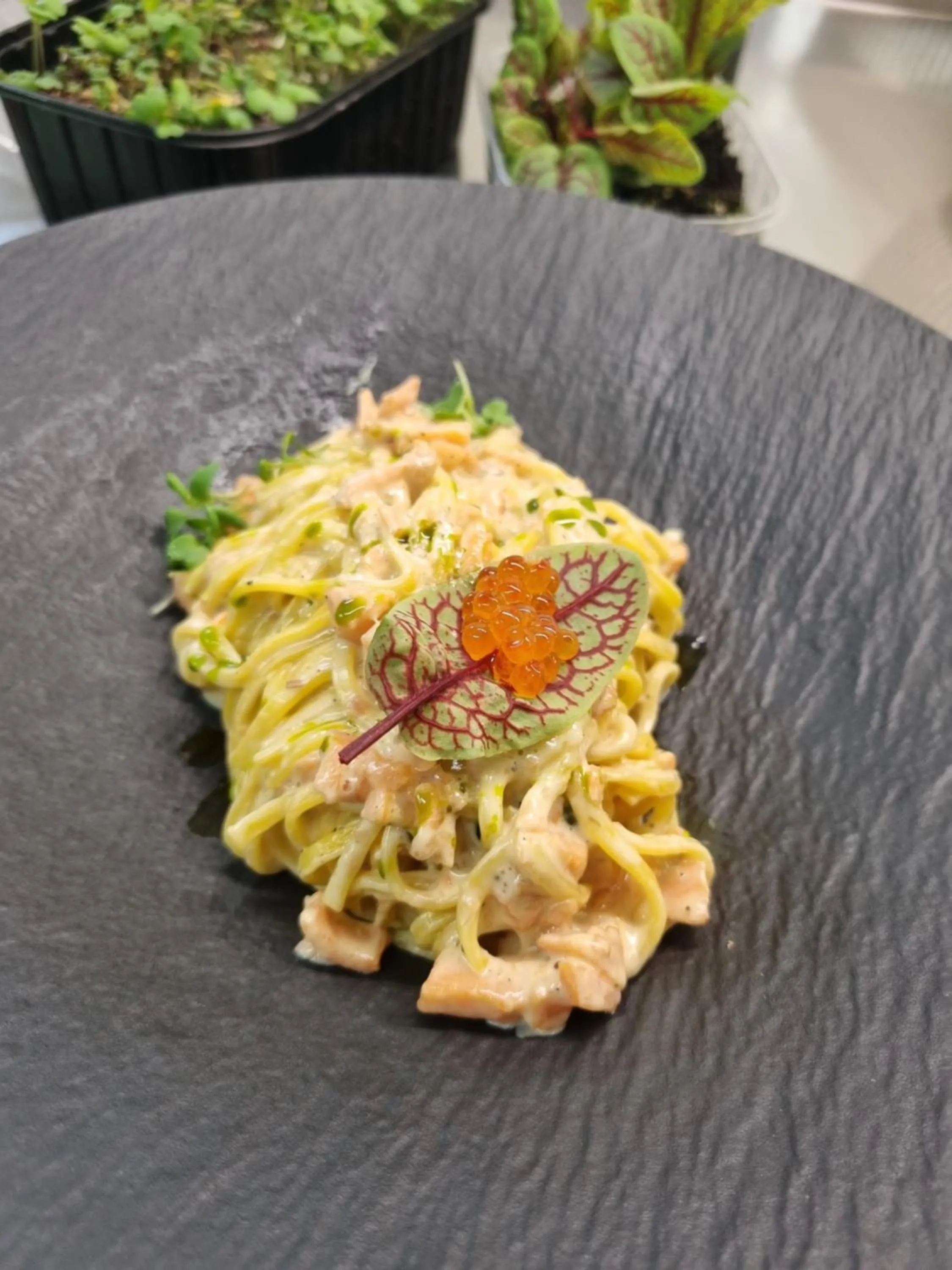 Restaurant/places to eat in Art Hotel Kristal