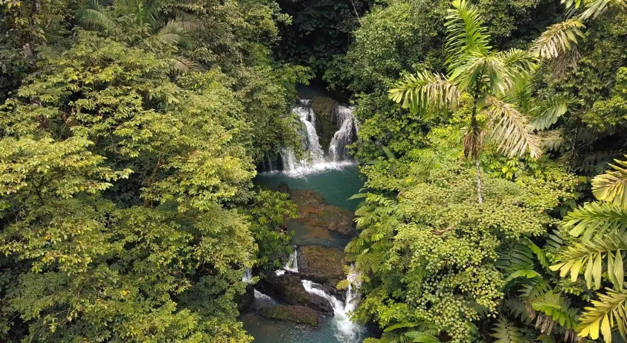 Spring in Copa De Arbol Beach & Rainforest Resort
