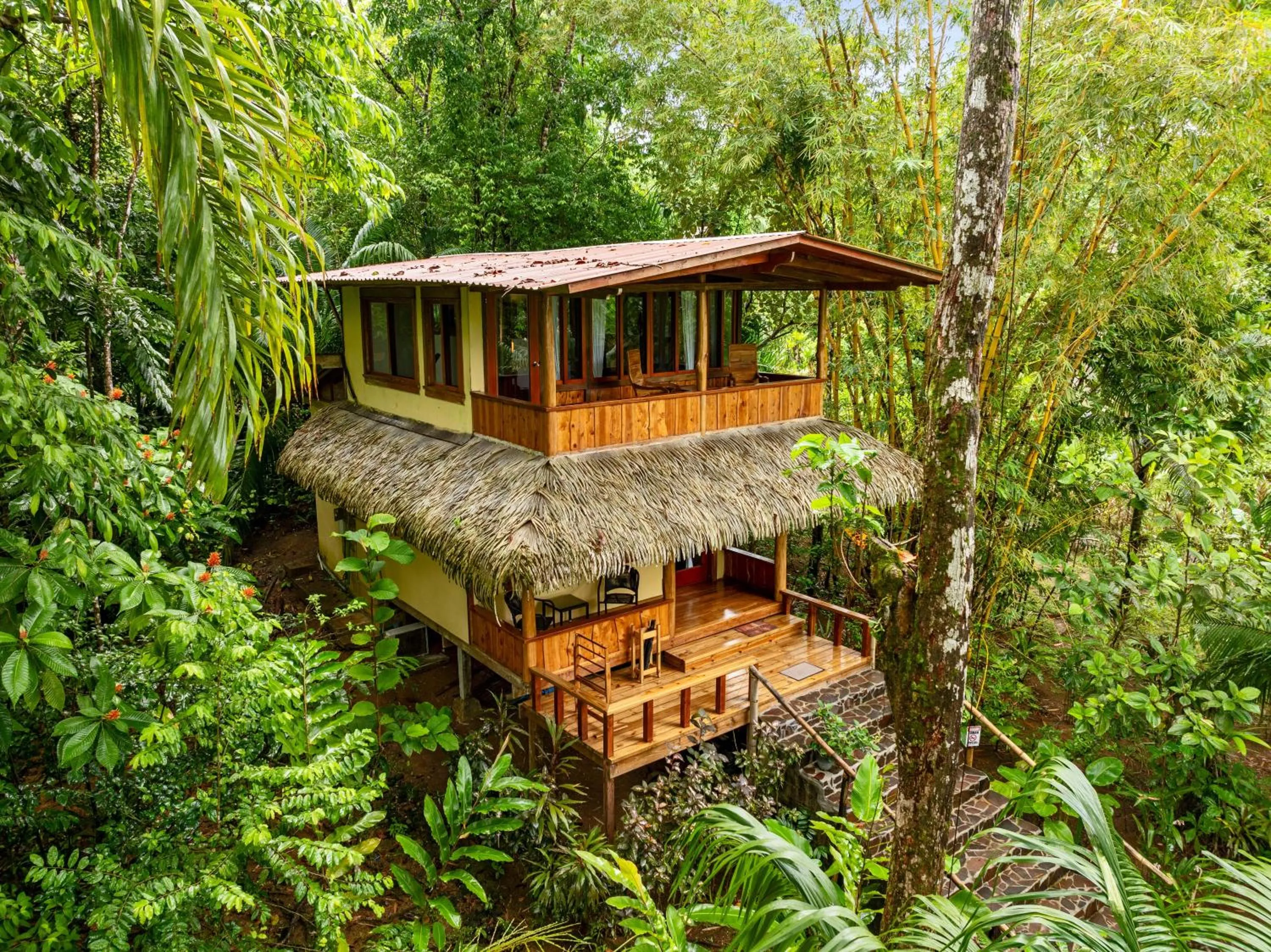 Property building in Copa De Arbol Beach & Rainforest Resort