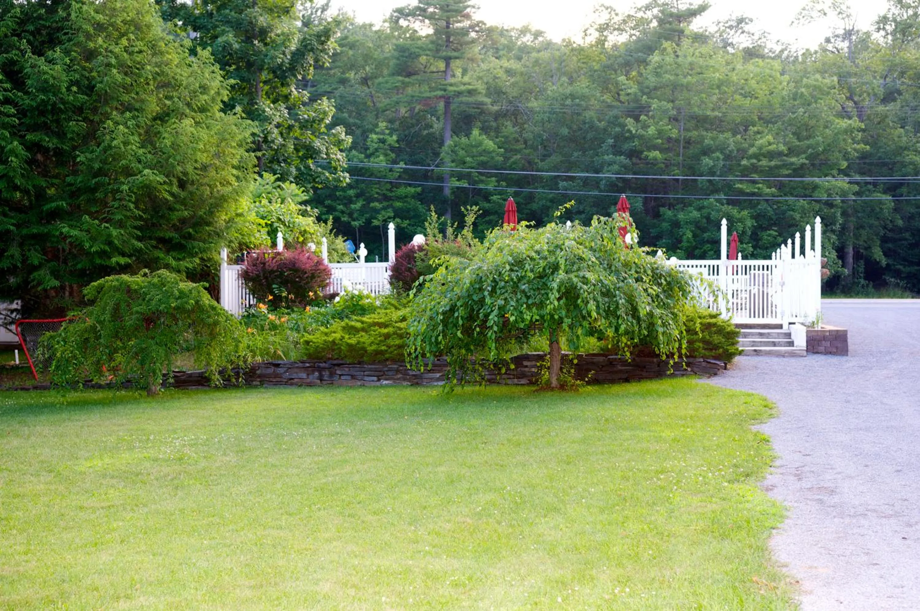 BBQ facilities in Lyn Aire Motel - Lake George