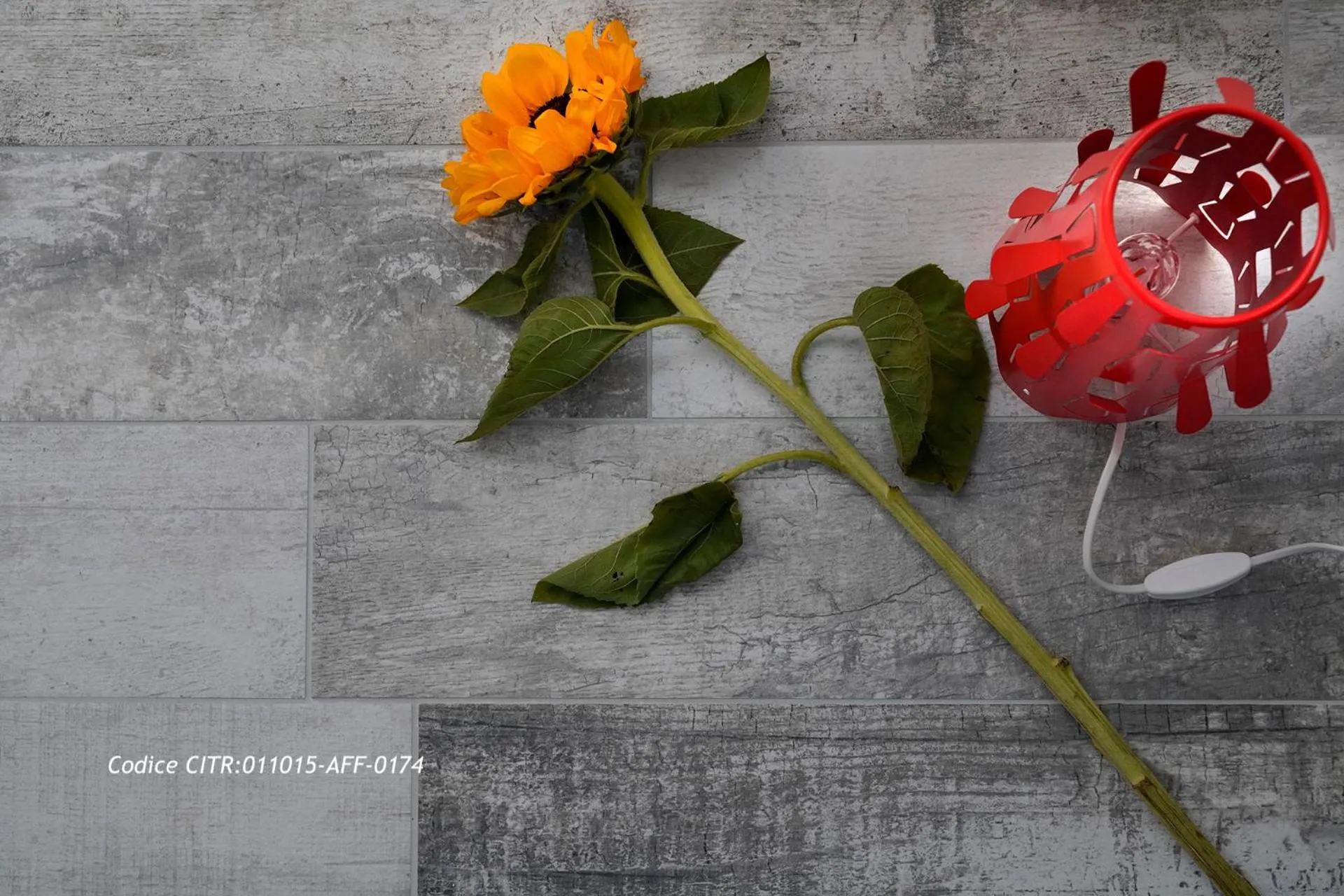 Certificate/Award in Approdo 36