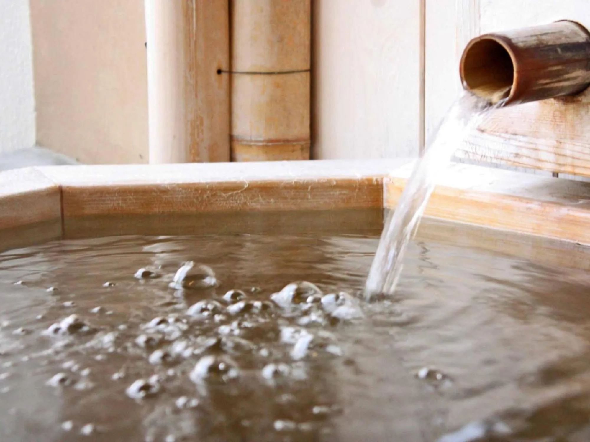 Hot Spring Bath in Yuzanso