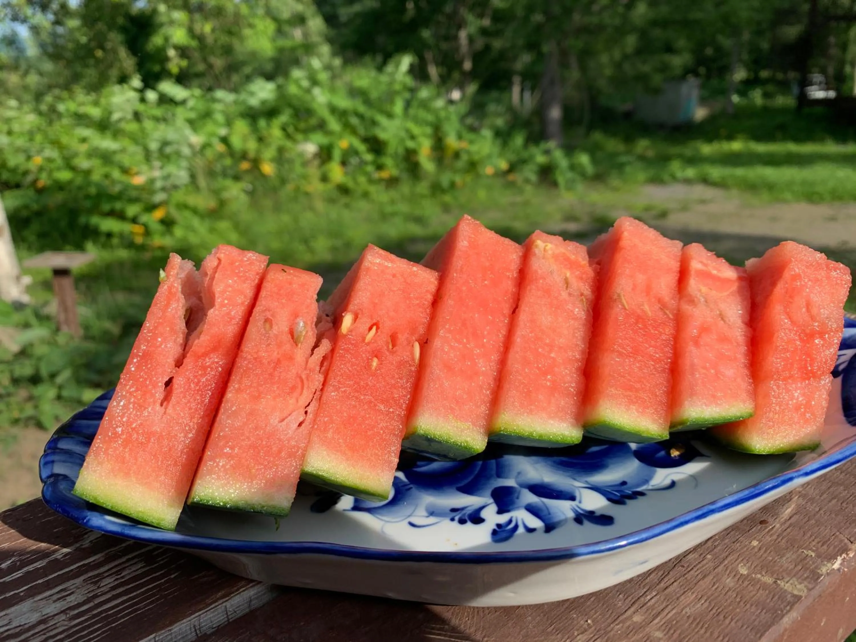 Summer in Lodge Romulus