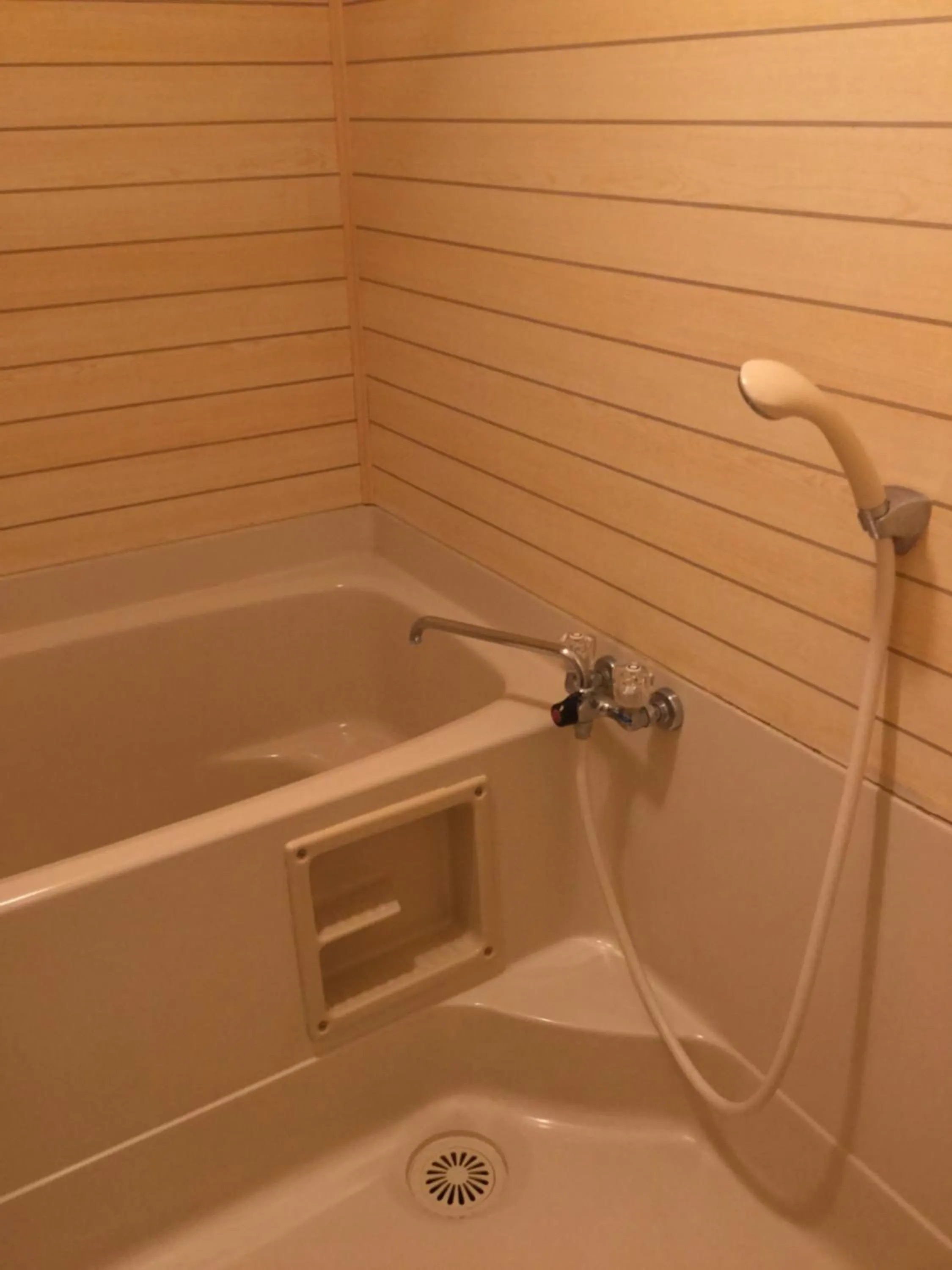 Bathroom in Kinugawa Park Hotels