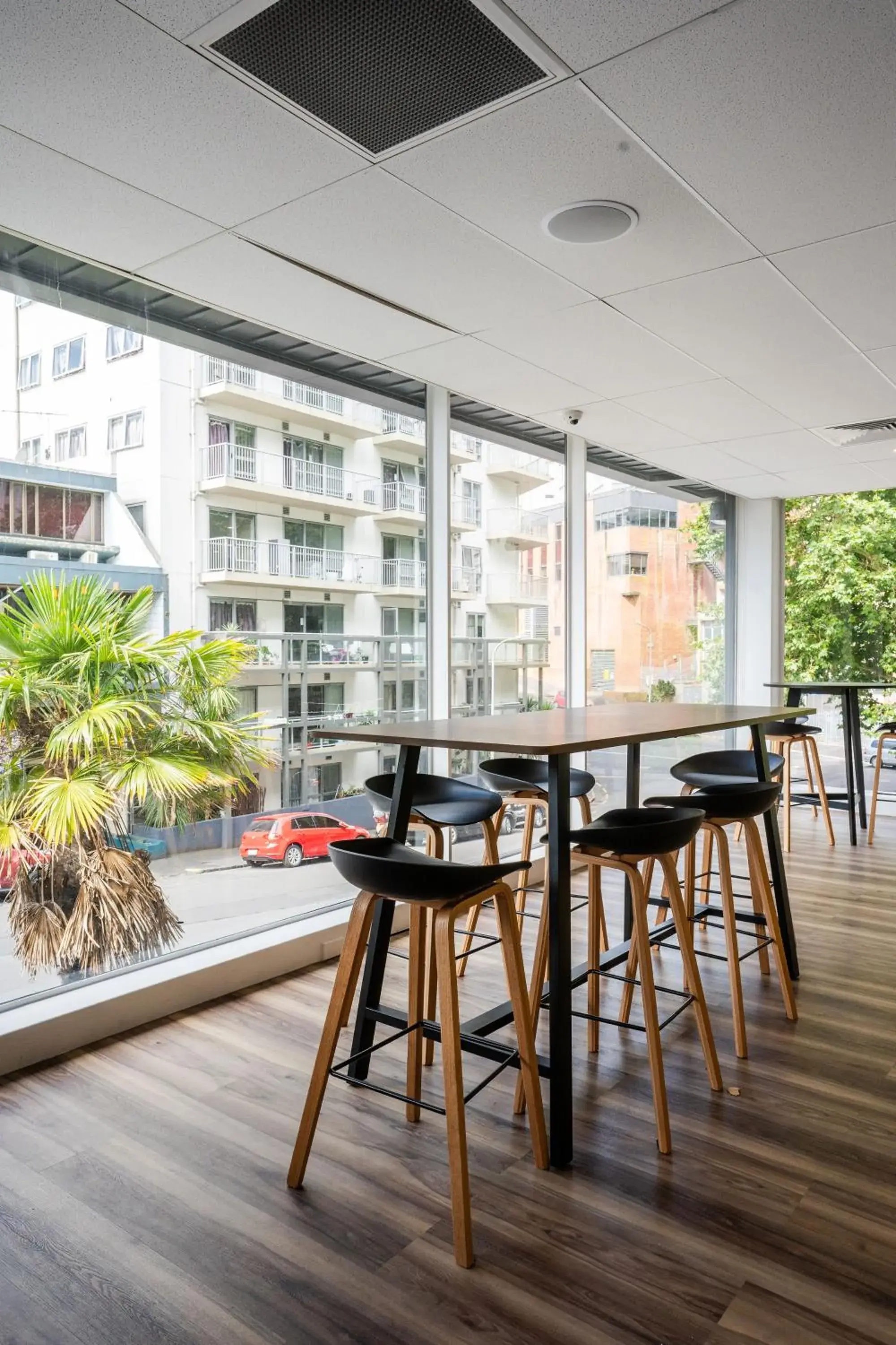 Lounge or bar in Haka House Auckland City Lounge or bar in Haka House Auckland City