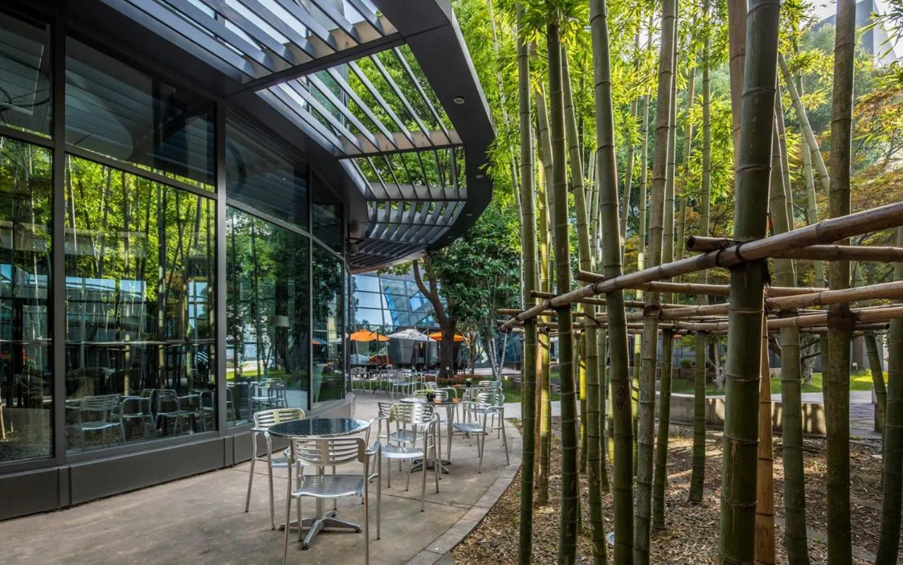 Garden in Shanghai Parkyard Hotel