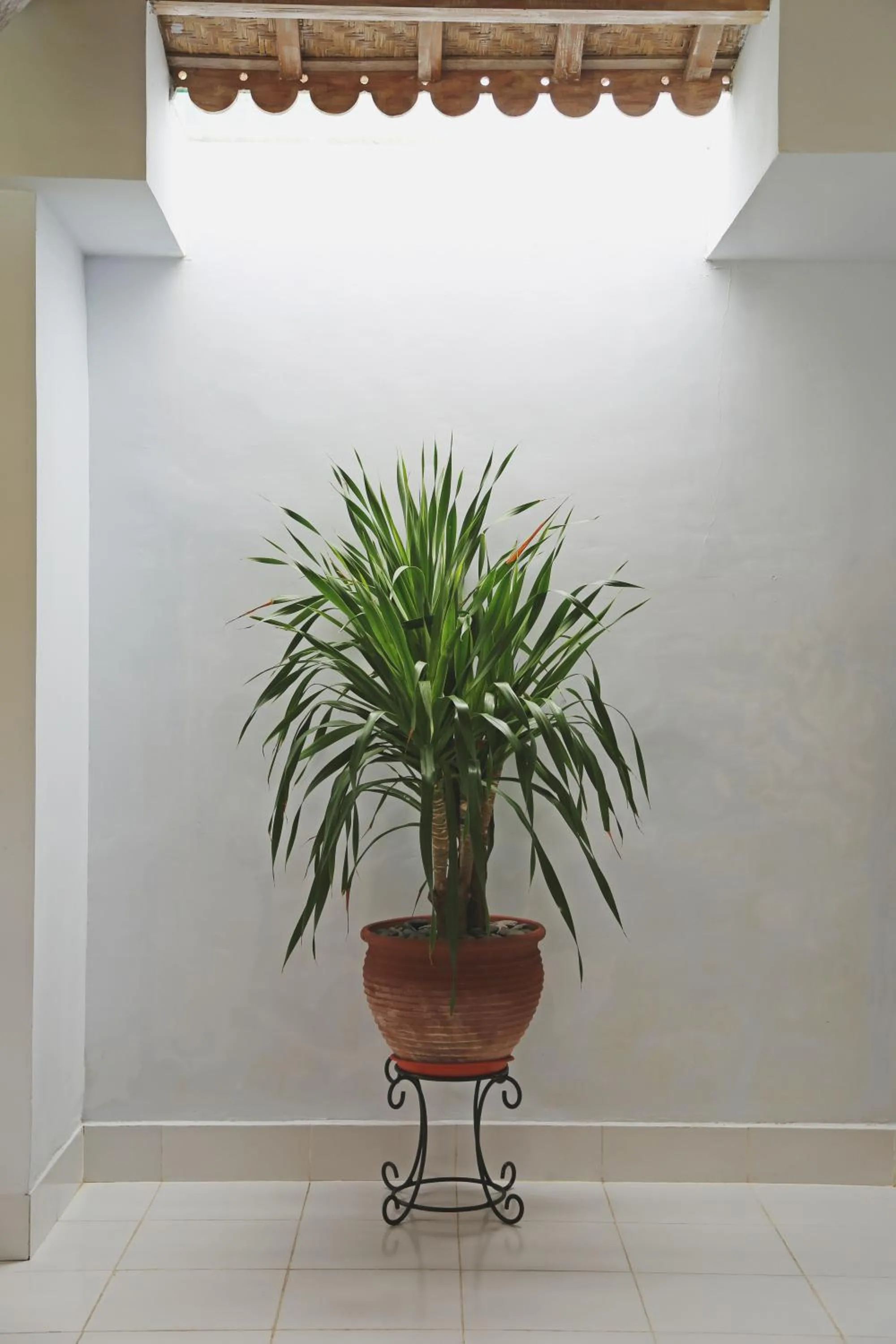 Villa Orked 1
