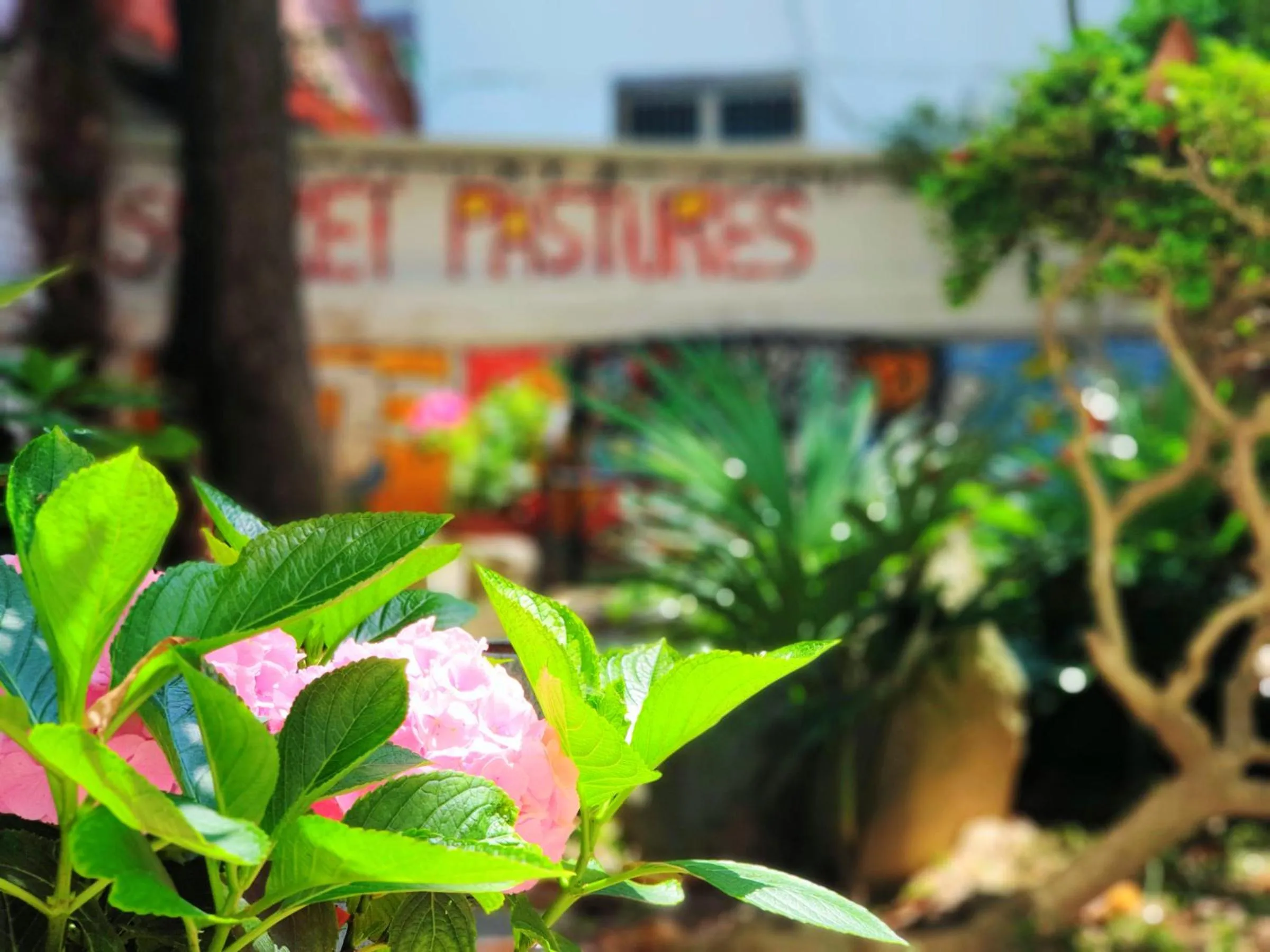 Gallery Family Hotel