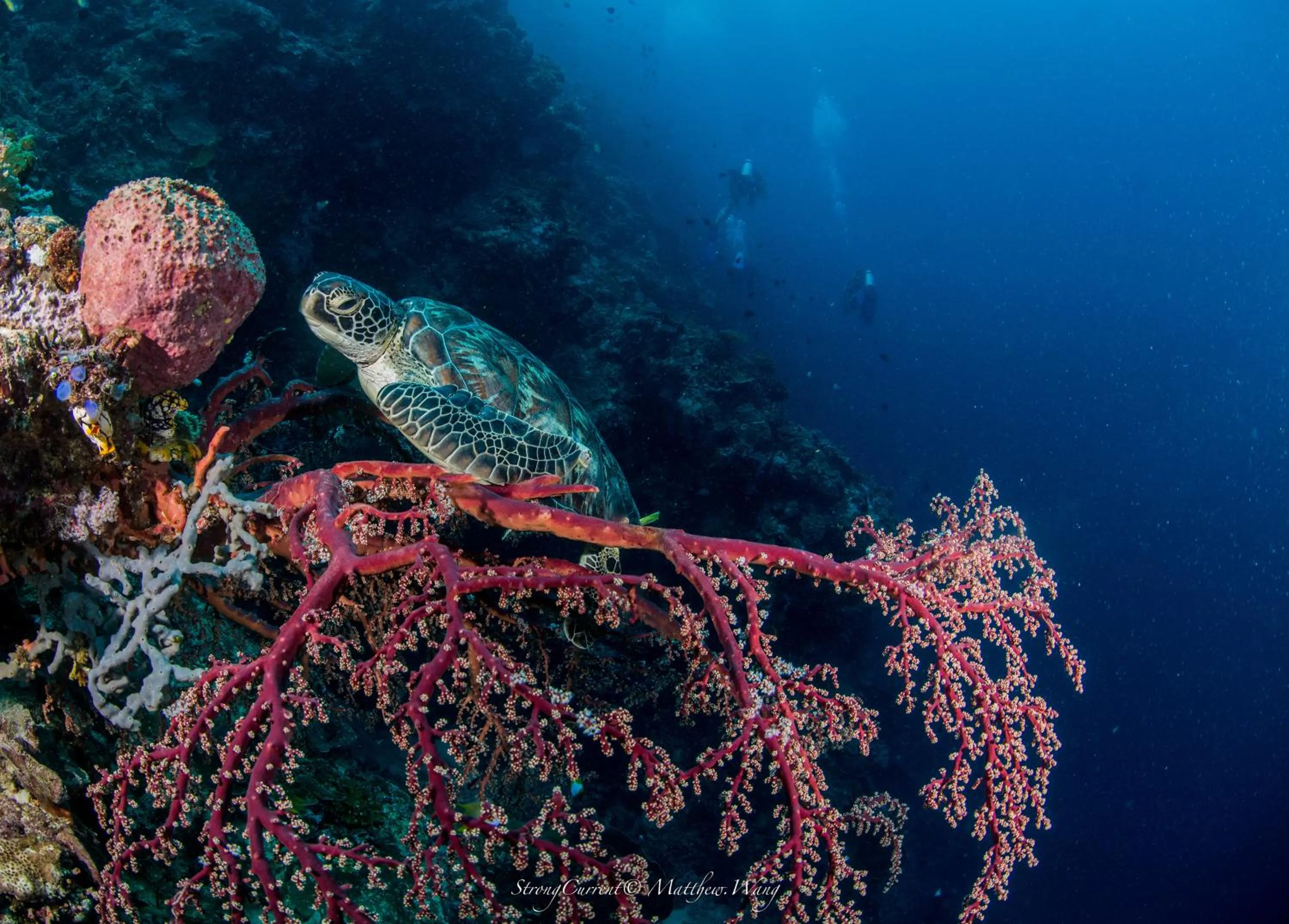 Activities in The Village Bunaken