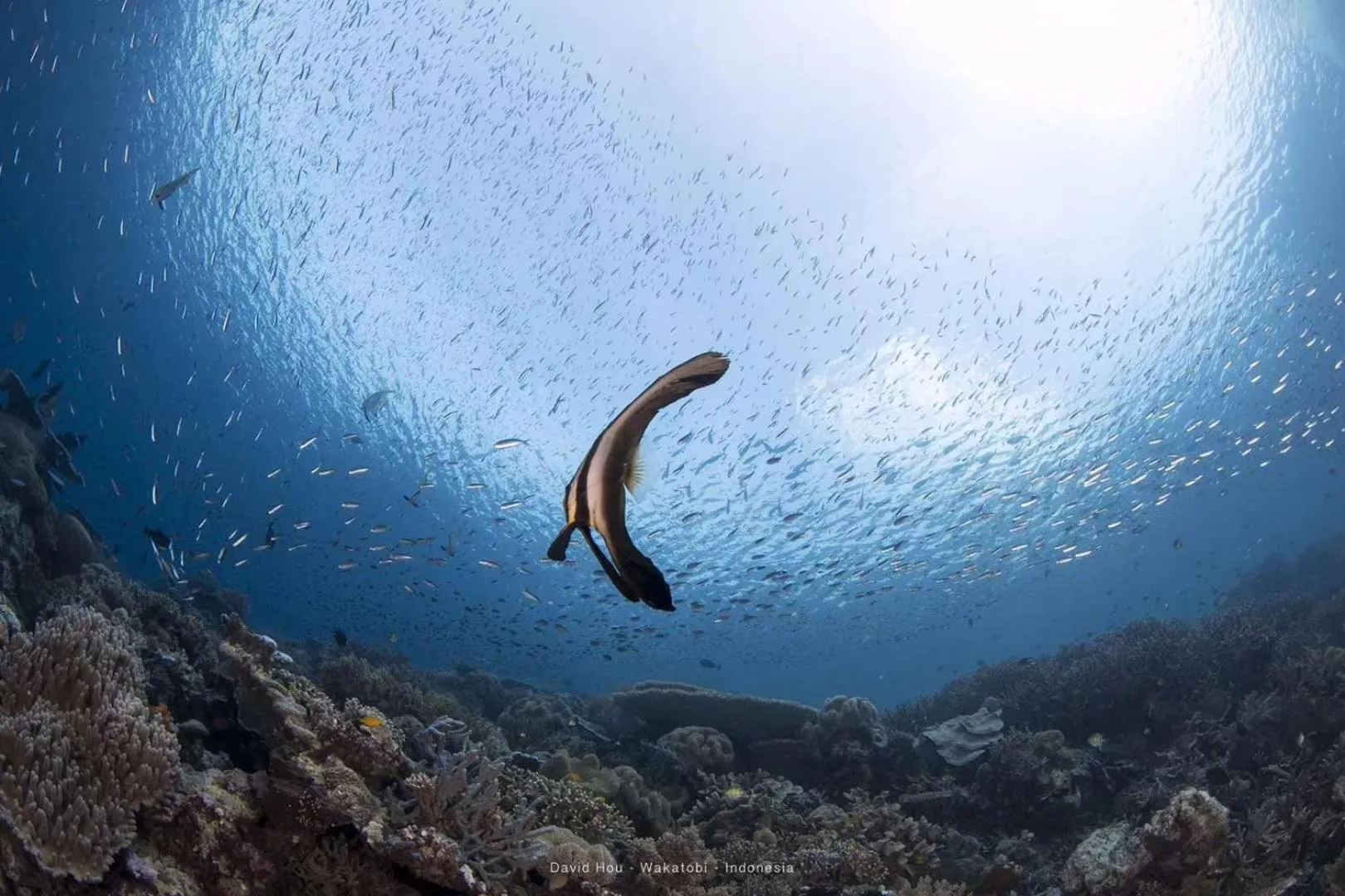 Activities in The Village Bunaken