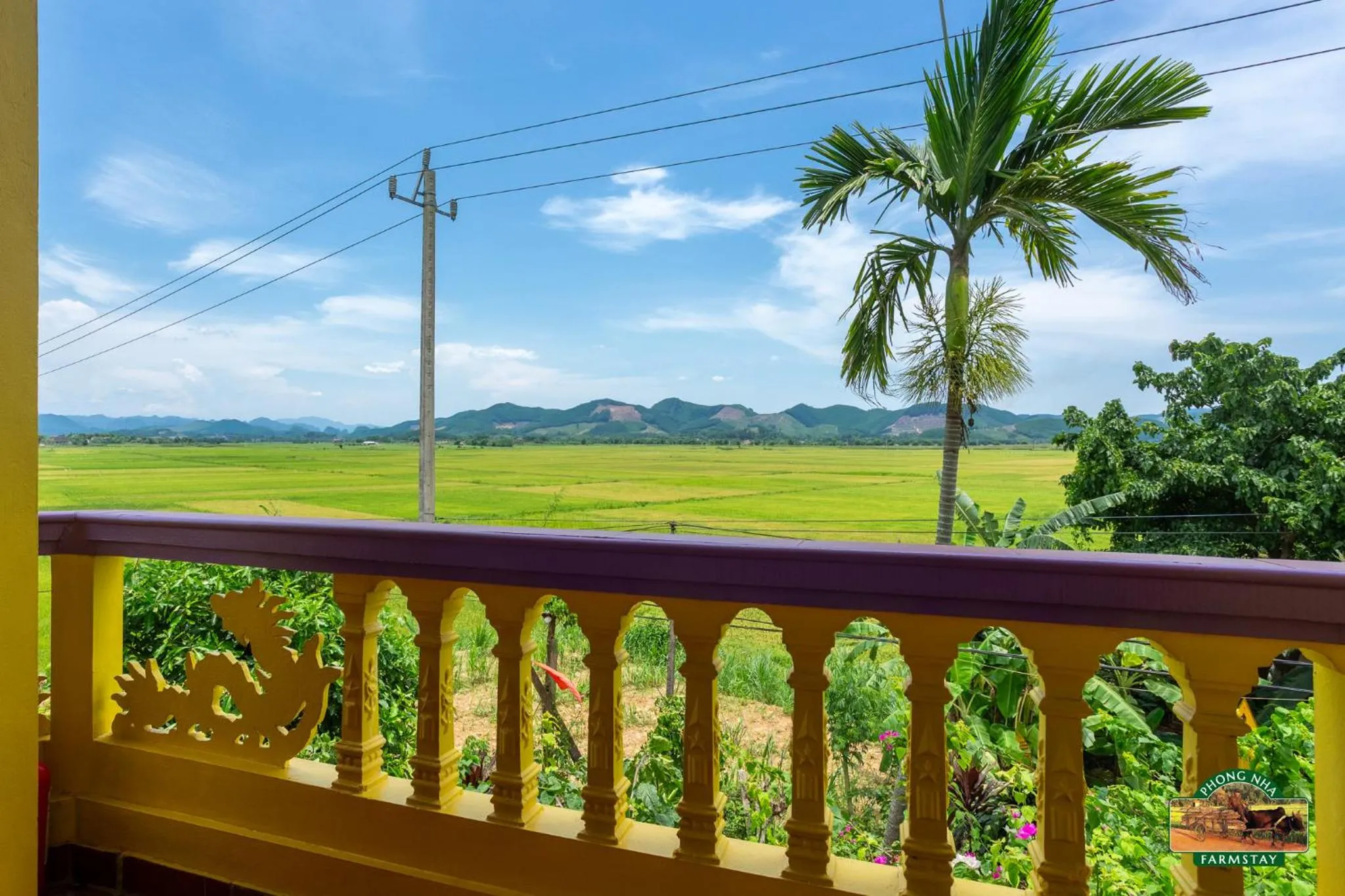 Phong Nha Farmstay