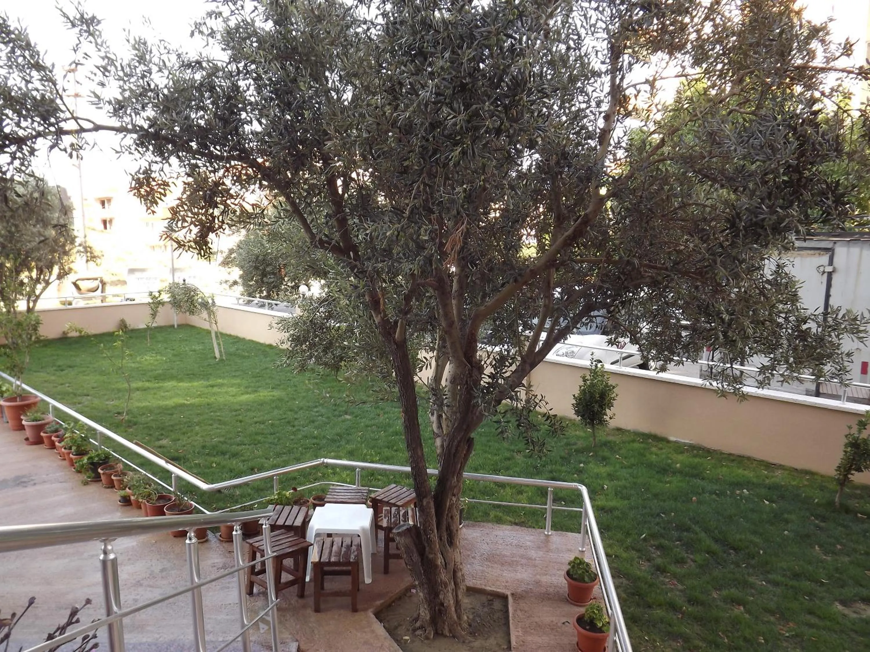 Garden in Hotel Zileli