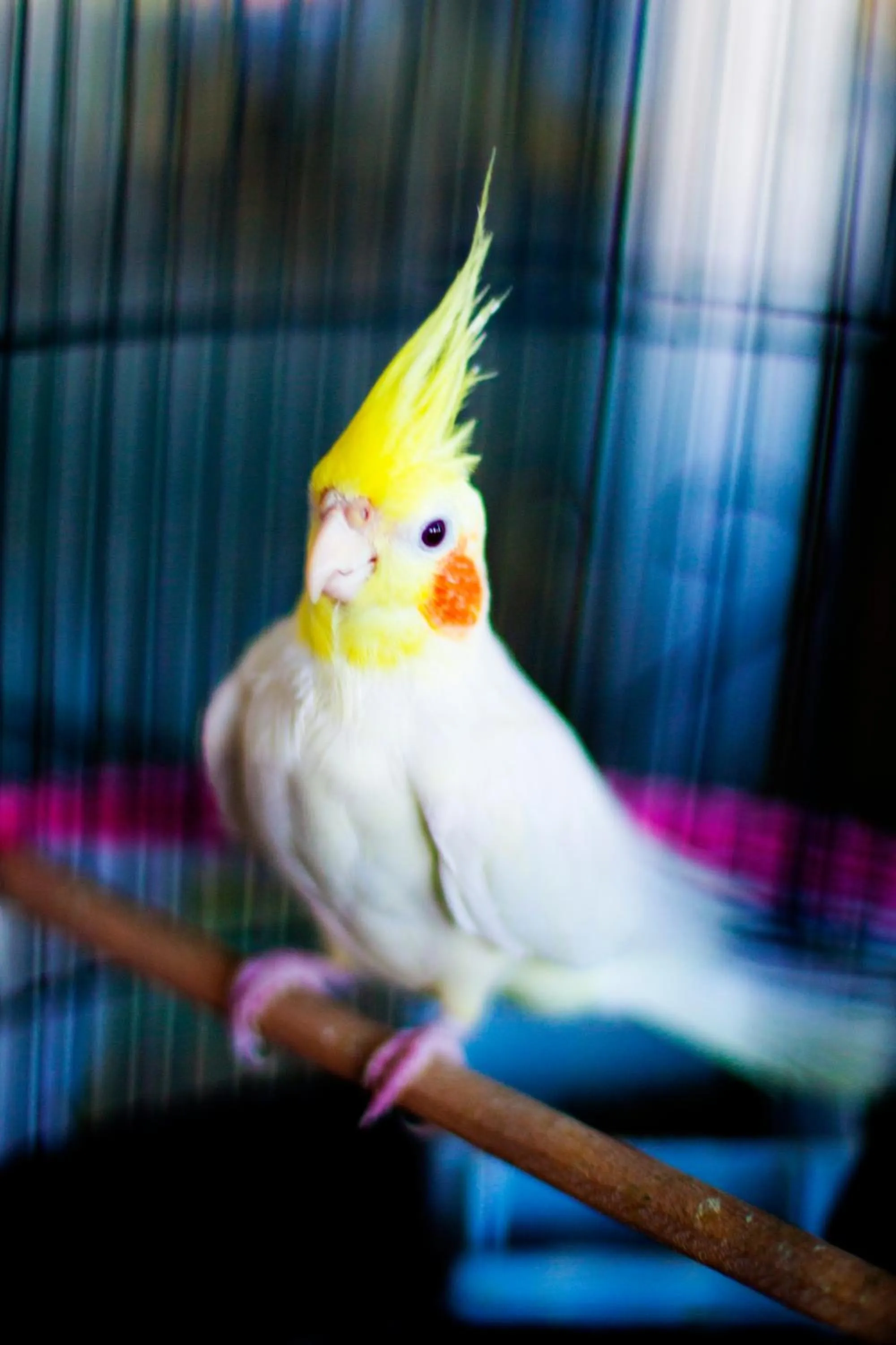 Other in Hotel Zileli