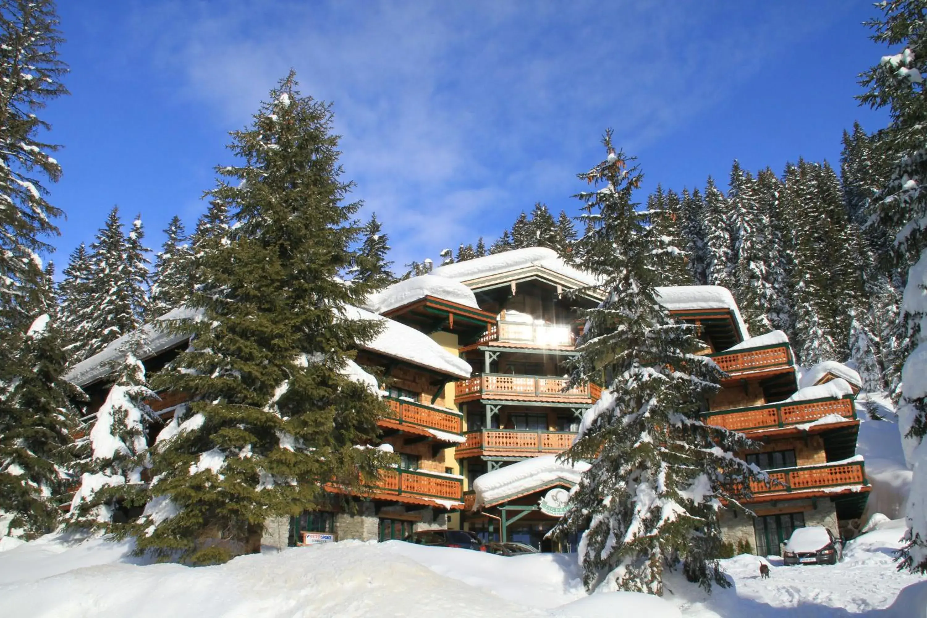 Alpen Appartements Zauchensee Alpen Appartements Zauchensee