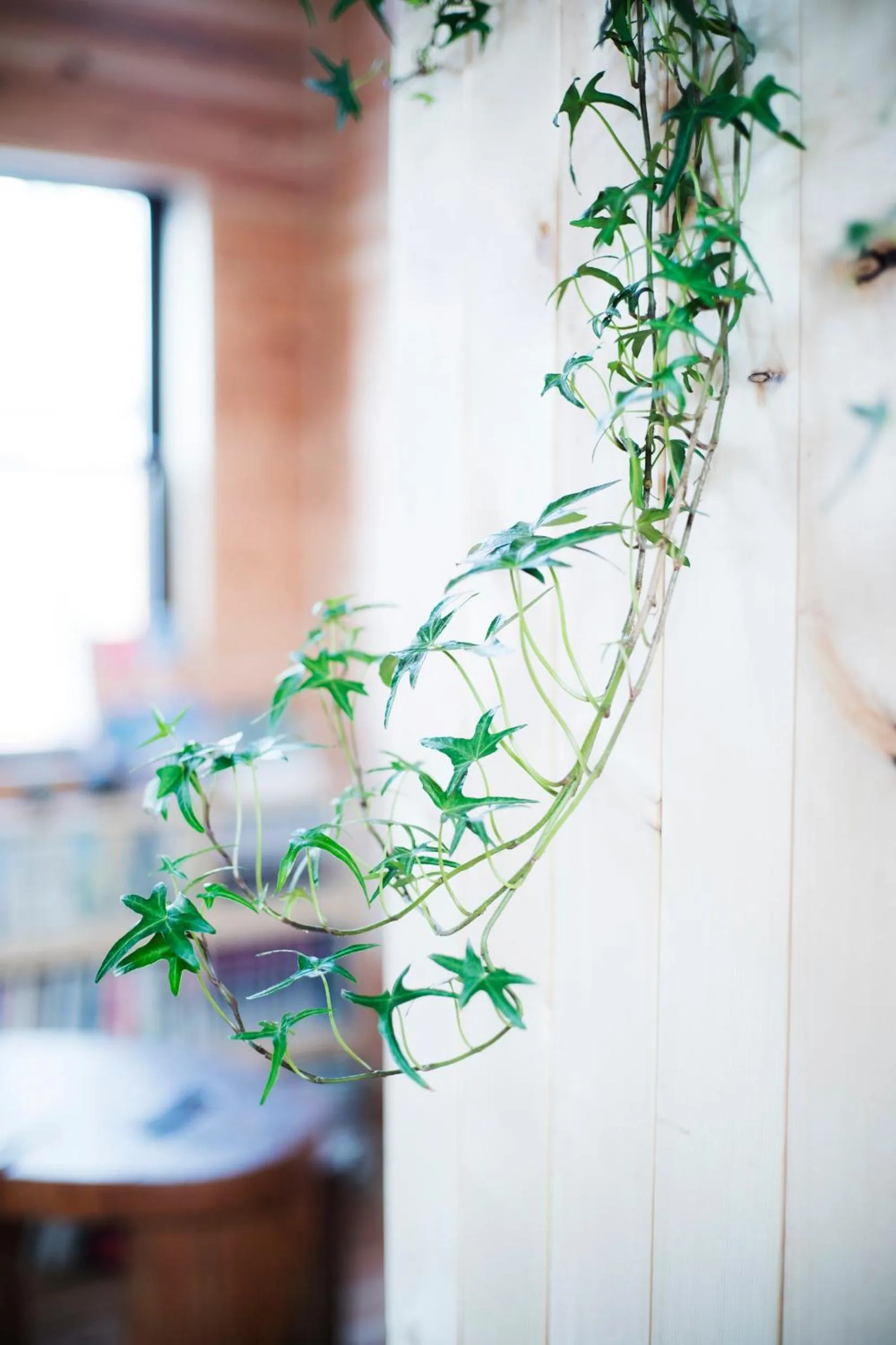 Decorative detail in Ise Guest House Kazami