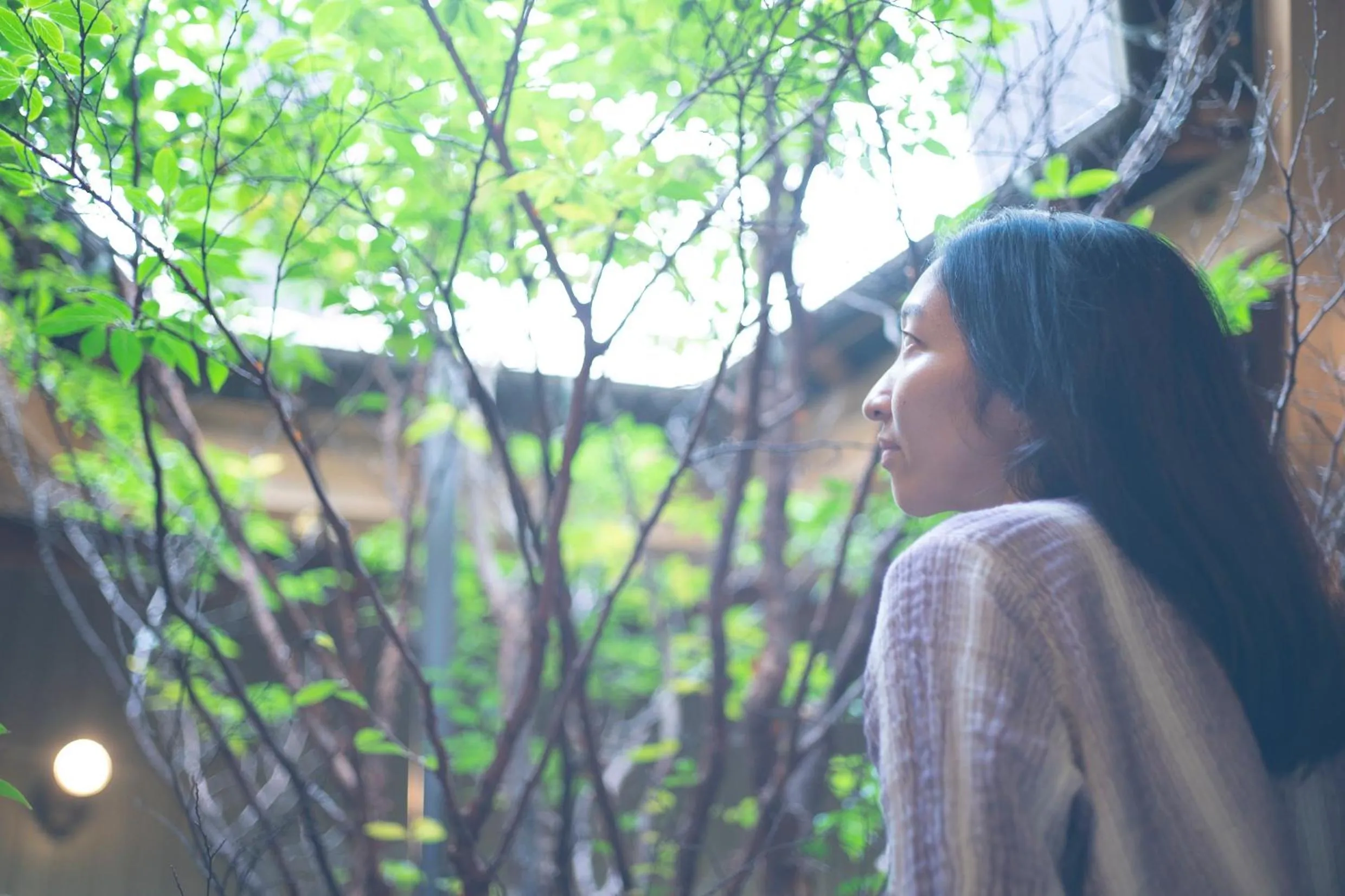 Natural landscape in Ise Guest House Kazami