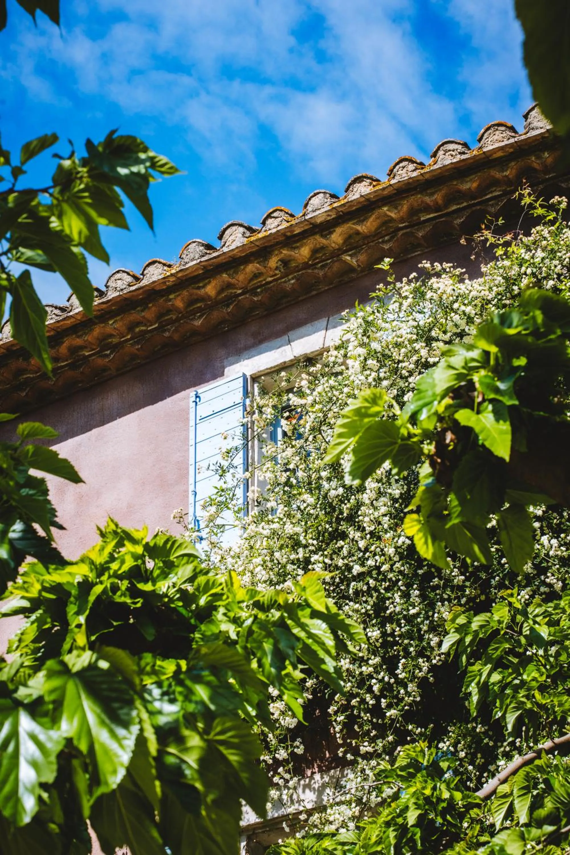 Property building in Bastide Rose