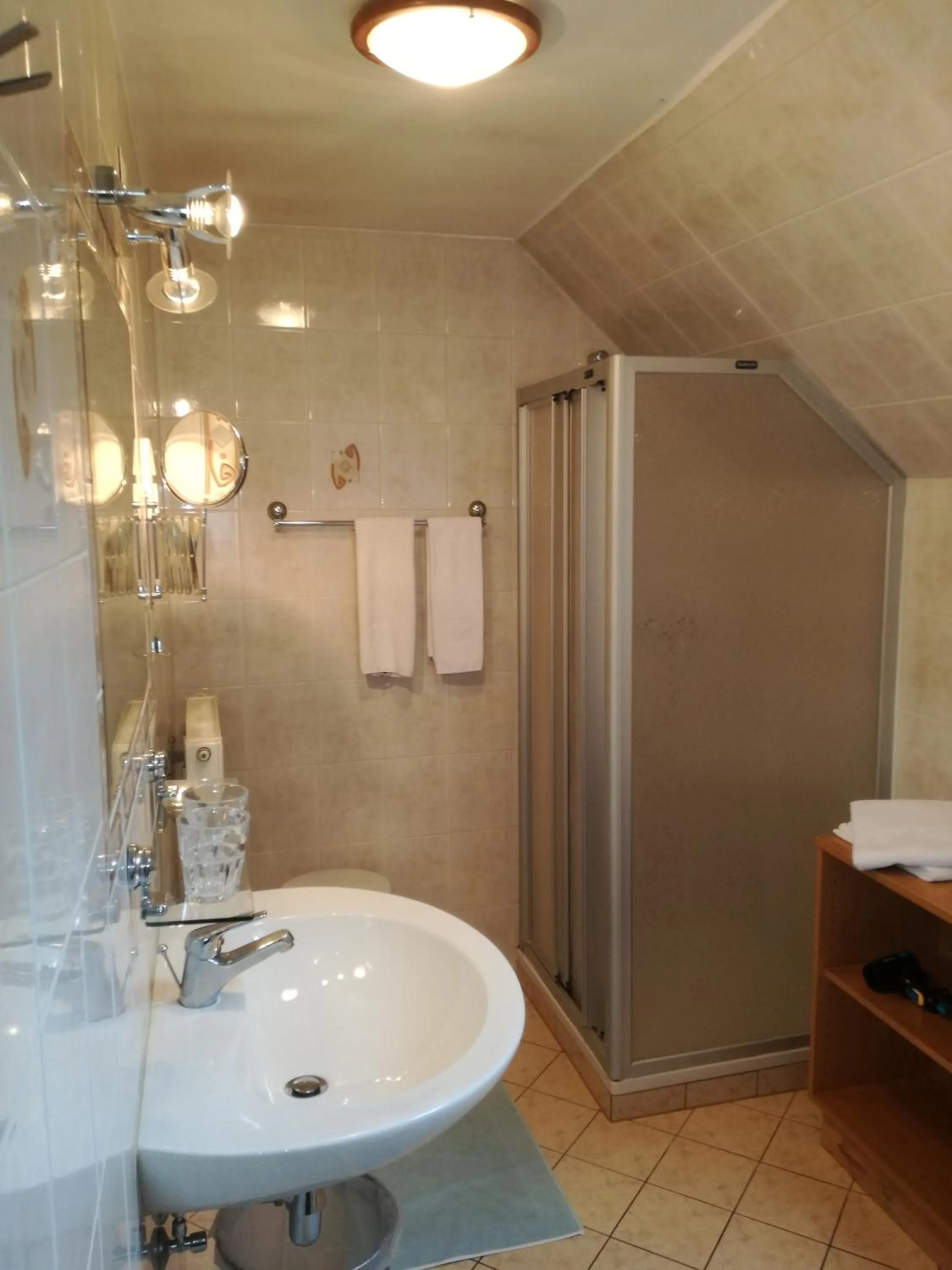 Shower in Gasthof zur Sonne