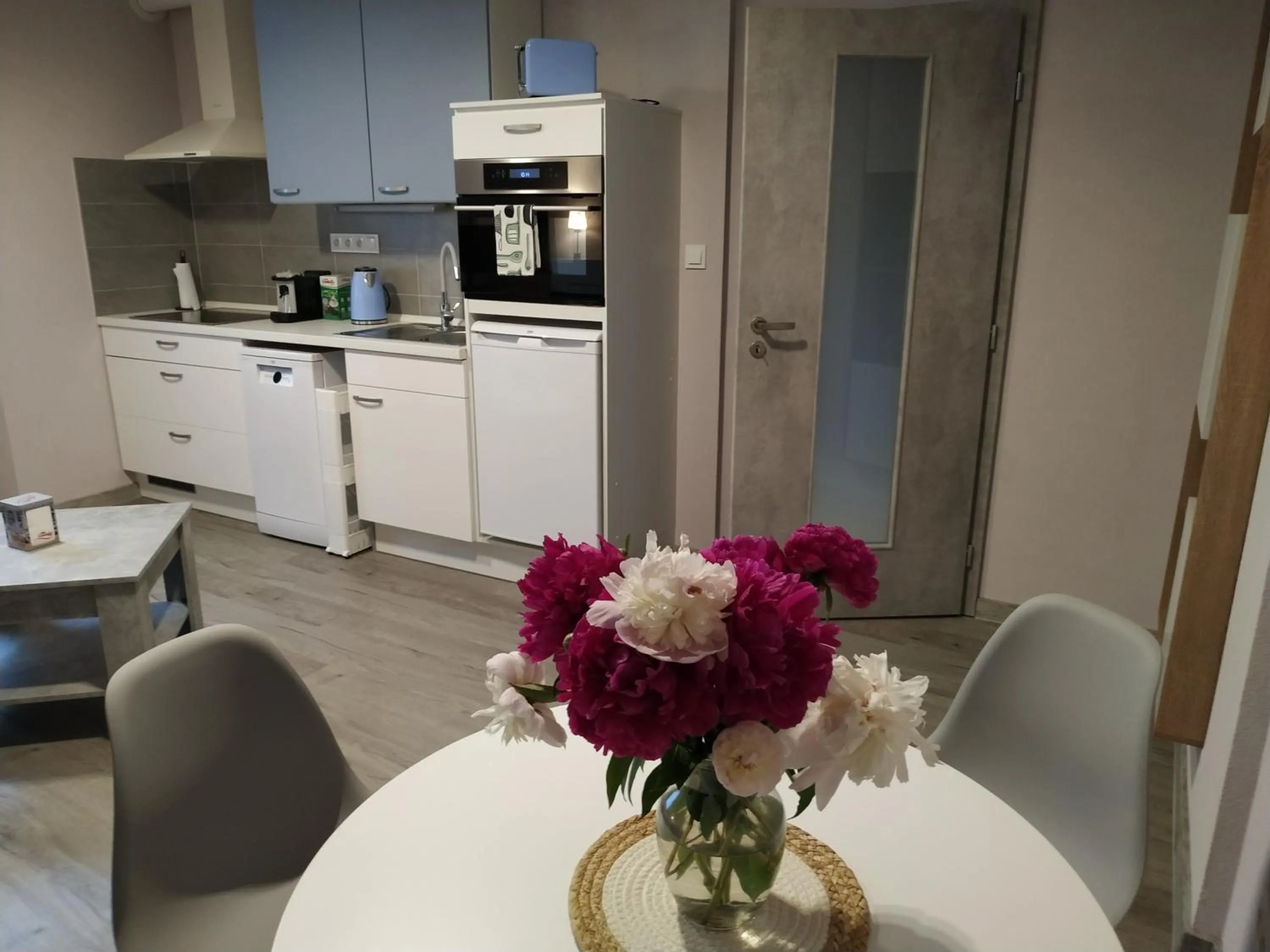 Kitchen or kitchenette in Motel Vega