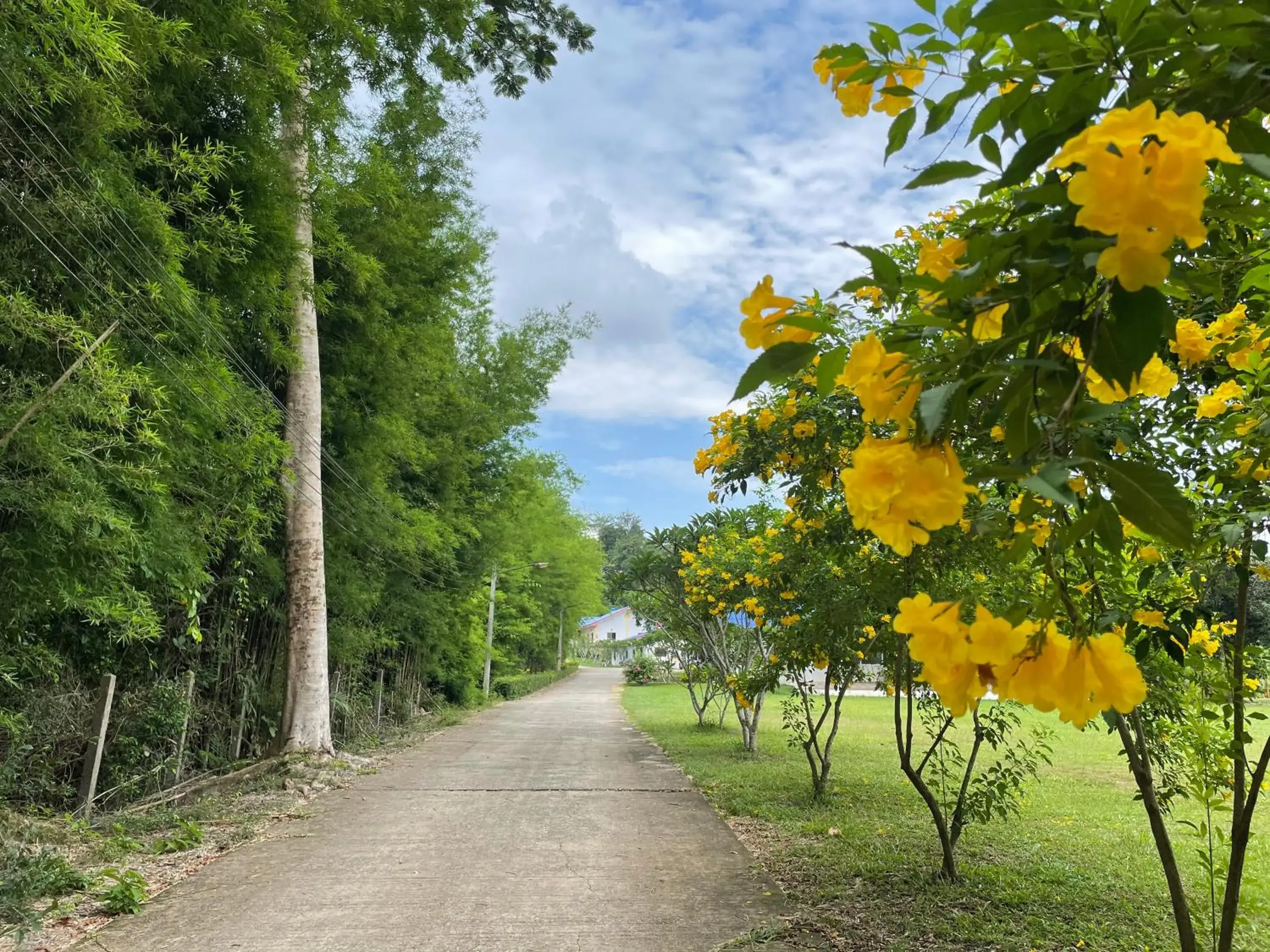 Quiet street view in นาหินลาดรีสอร์ท Nahinlad Resort Quiet street view in นาหินลาดรีสอร์ท Nahinlad Resort