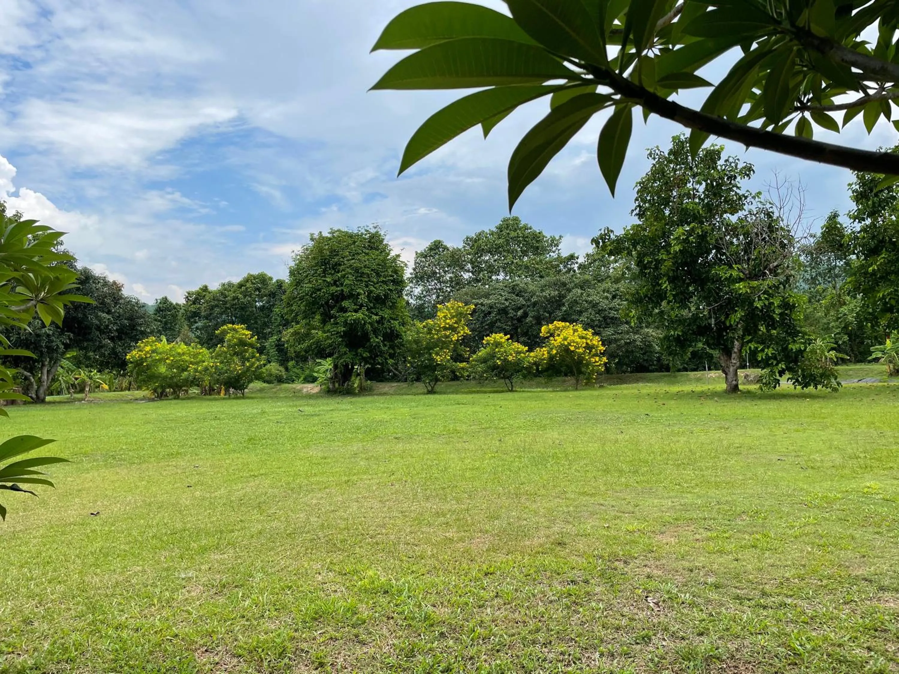 Natural landscape in นาหินลาดรีสอร์ท Nahinlad Resort