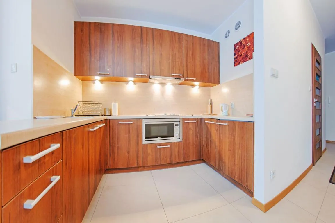 Kitchen or kitchenette in Villa Cztery Pory Roku, Sun & Snow