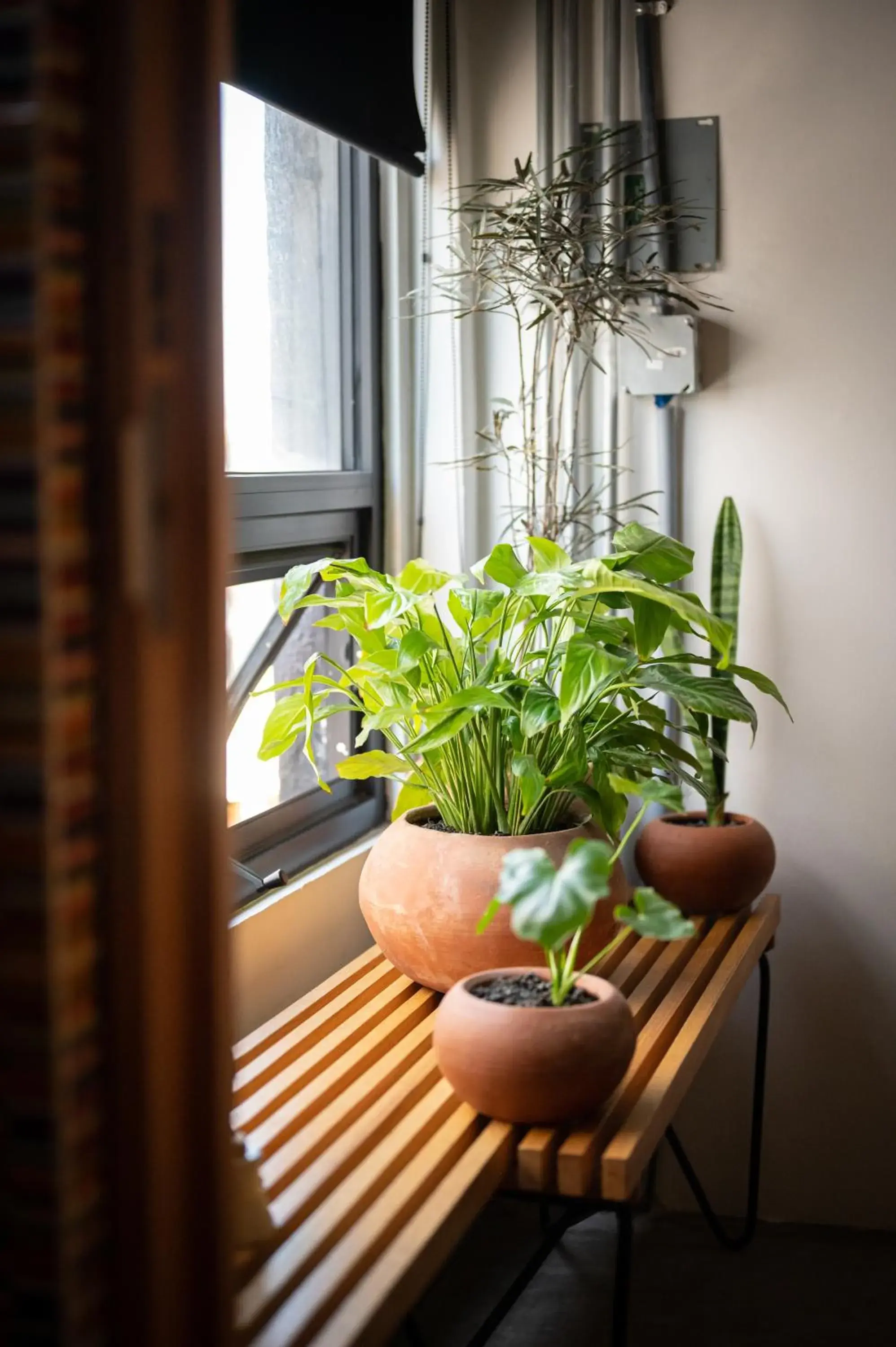 Other in Hotel Boutique Lafayette Tijuana Other in Hotel Boutique Lafayette Tijuana