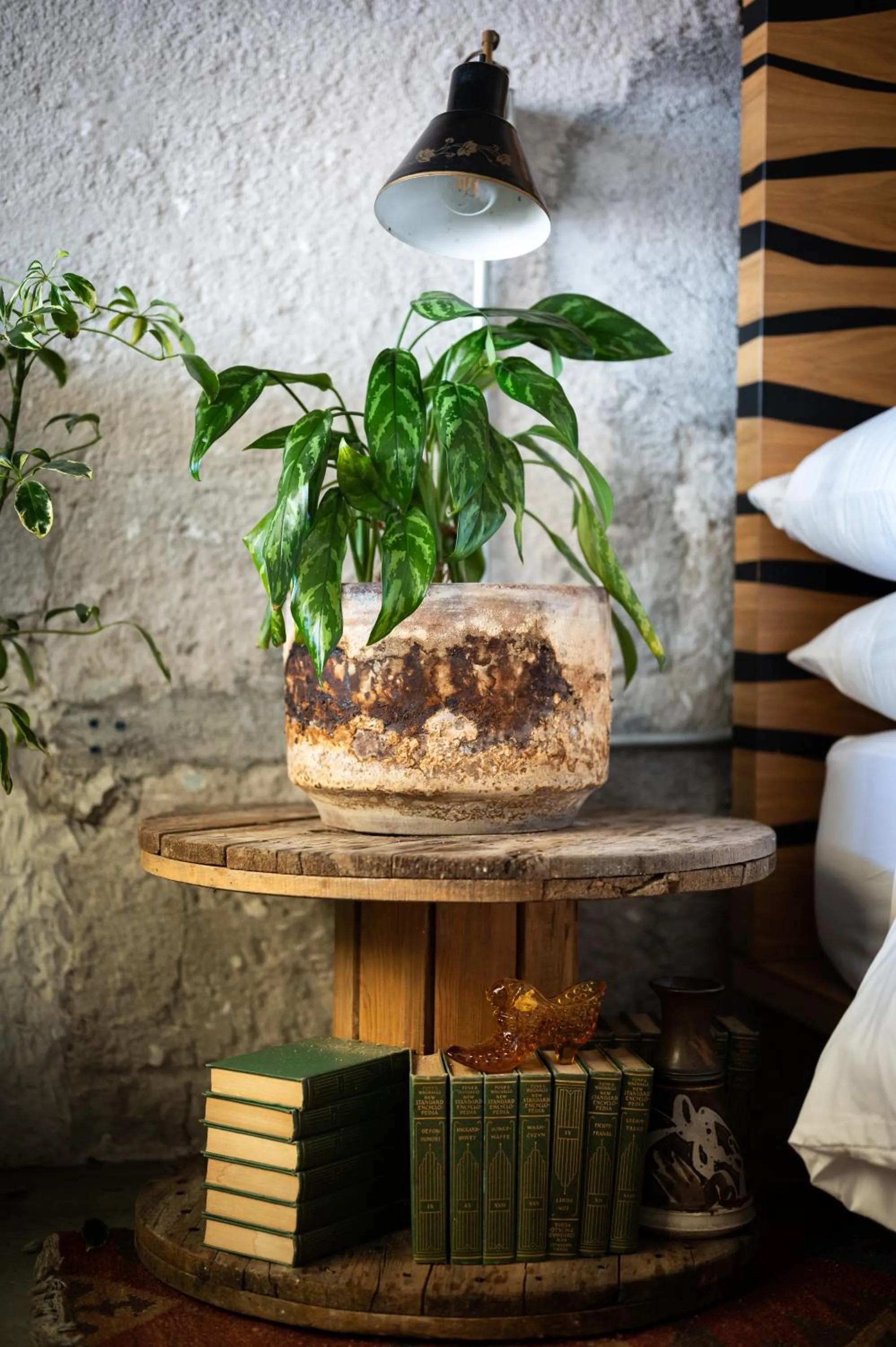 Other in Hotel Boutique Lafayette Tijuana