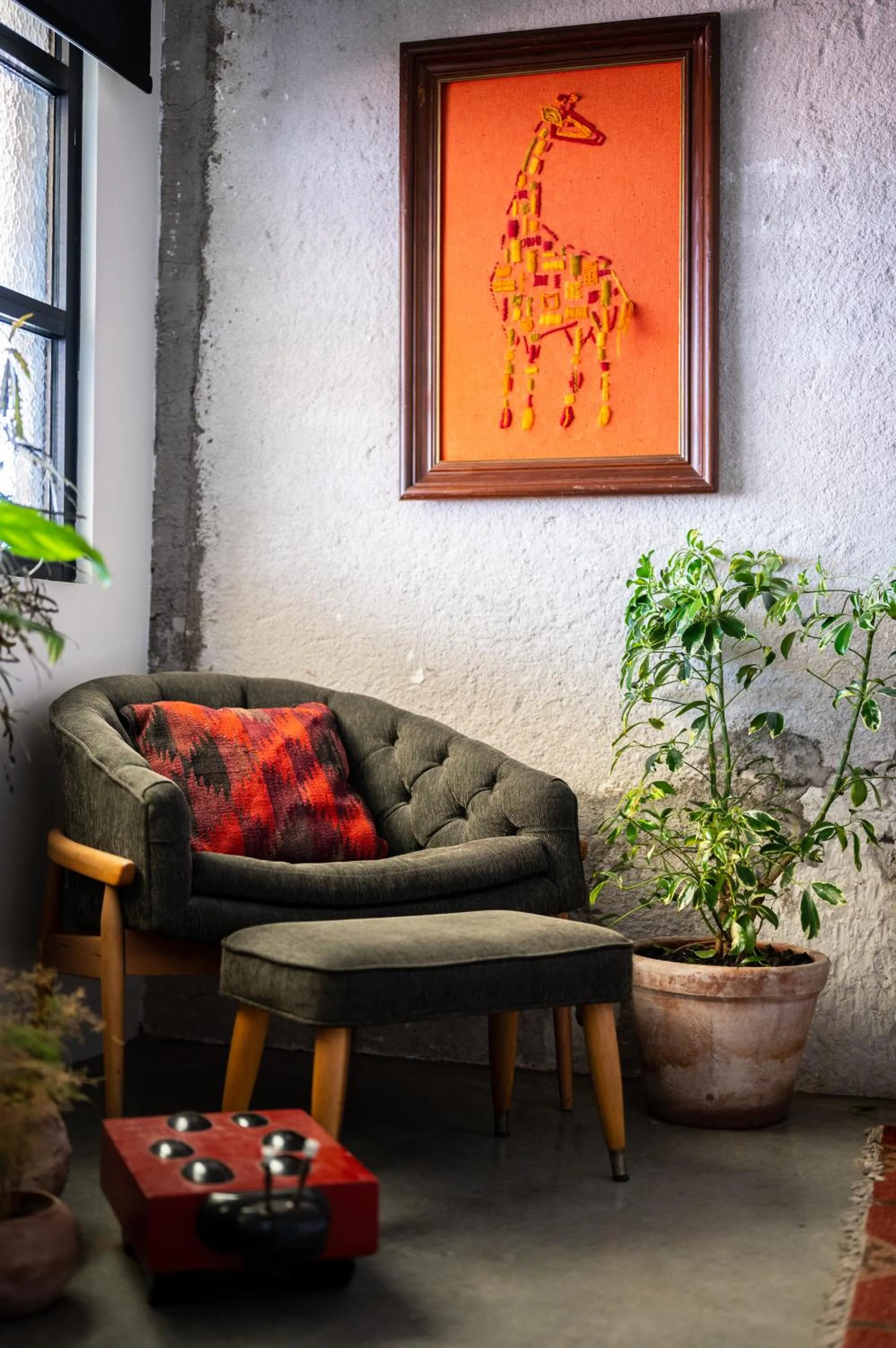 Other in Hotel Boutique Lafayette Tijuana