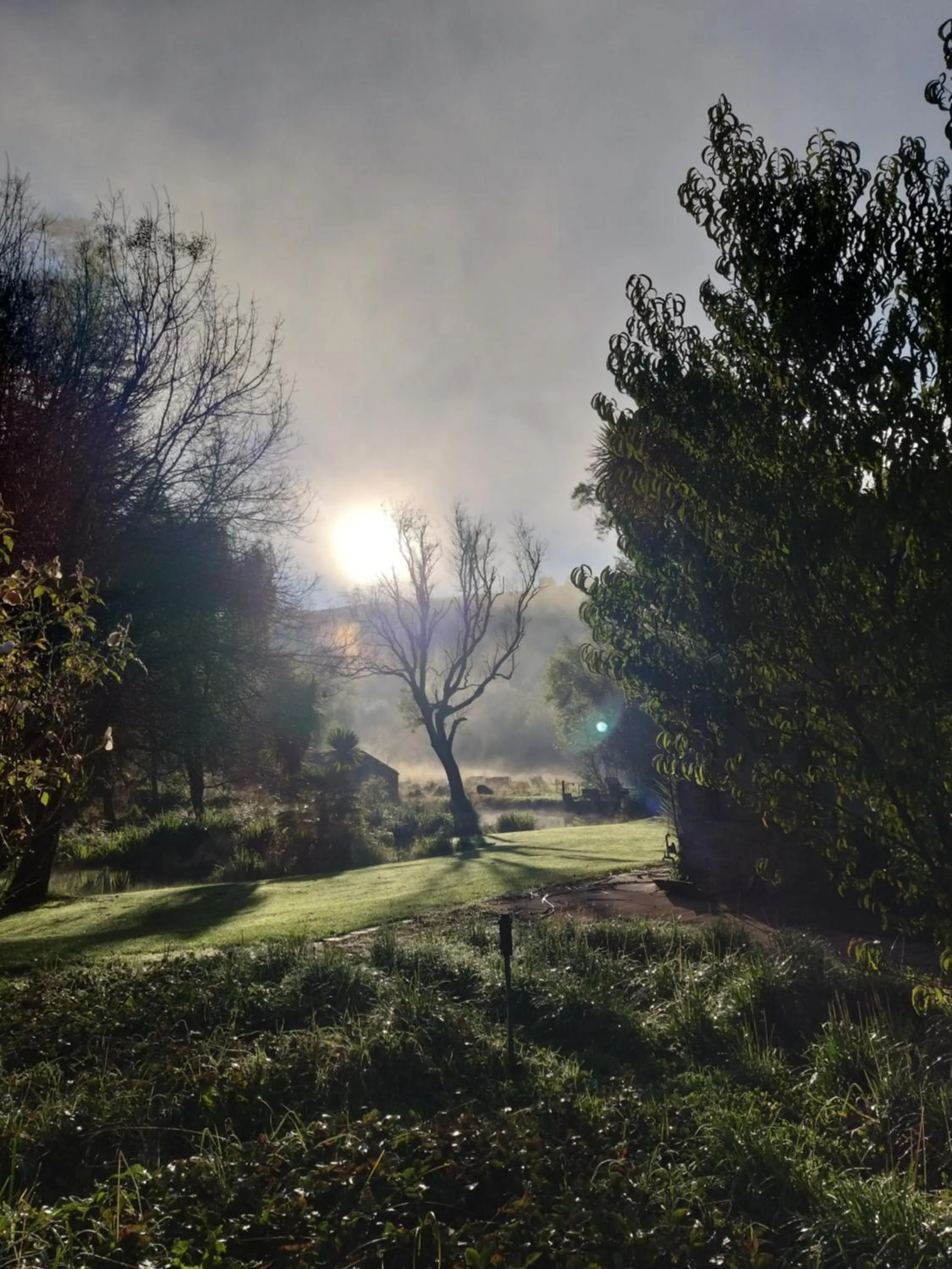 Garden in Flitwick Ranch