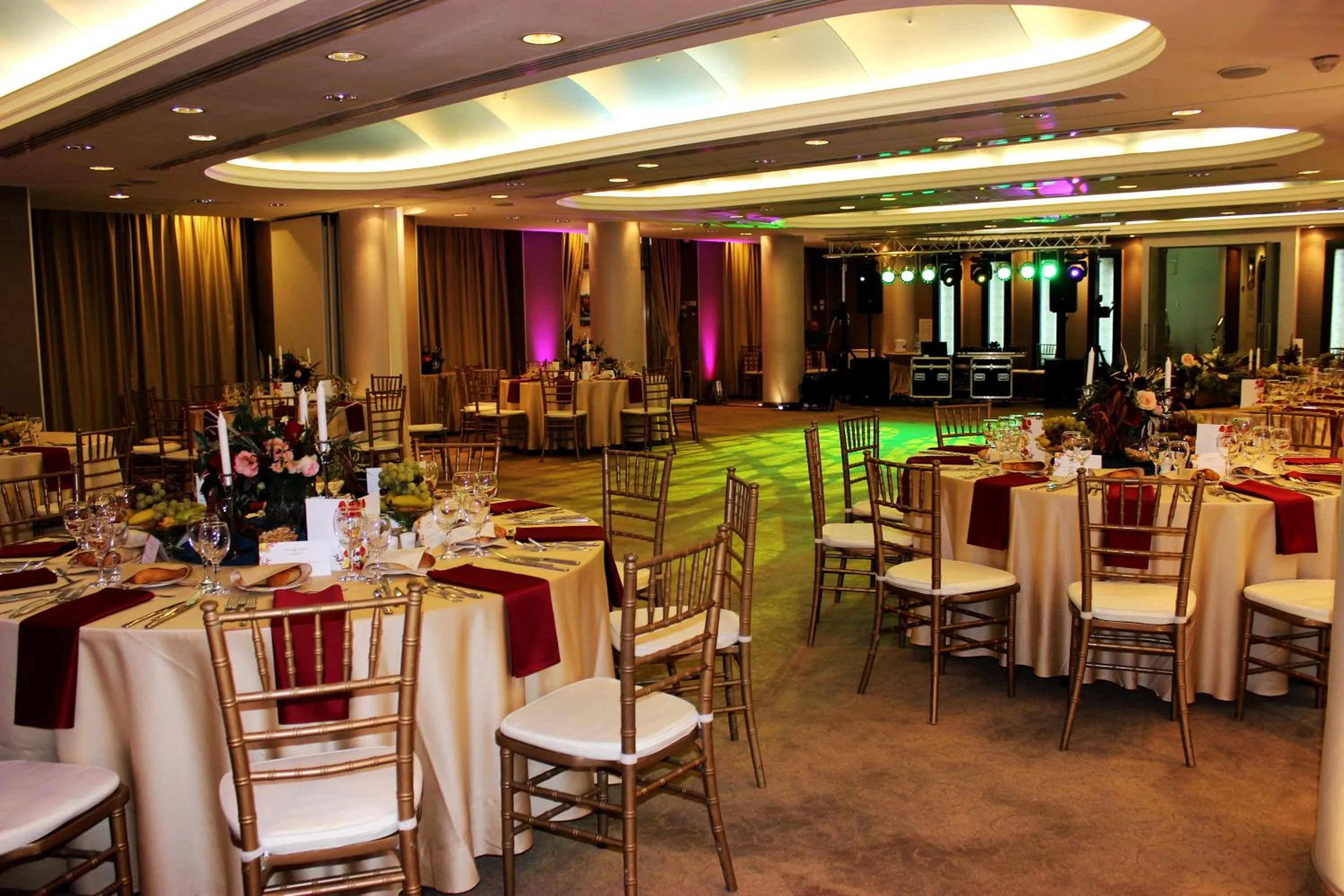 Banquet/Function facilities in Hotel Minerva