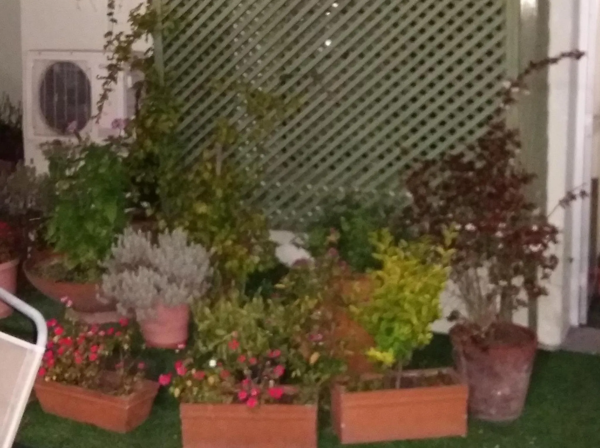 Decorative detail in Hotel Uruguay