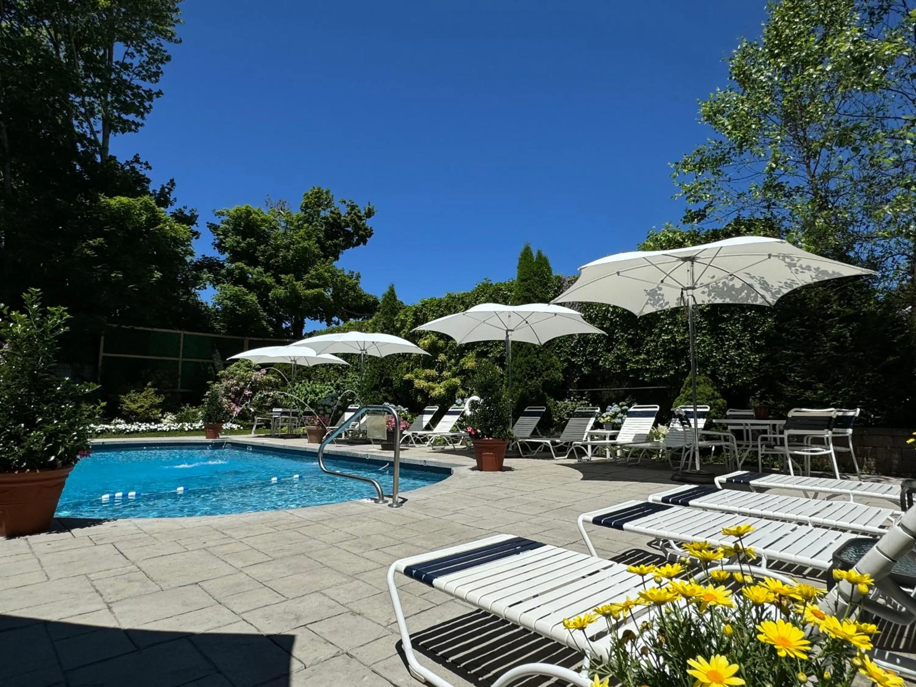 Swimming pool in The Winstead Inn