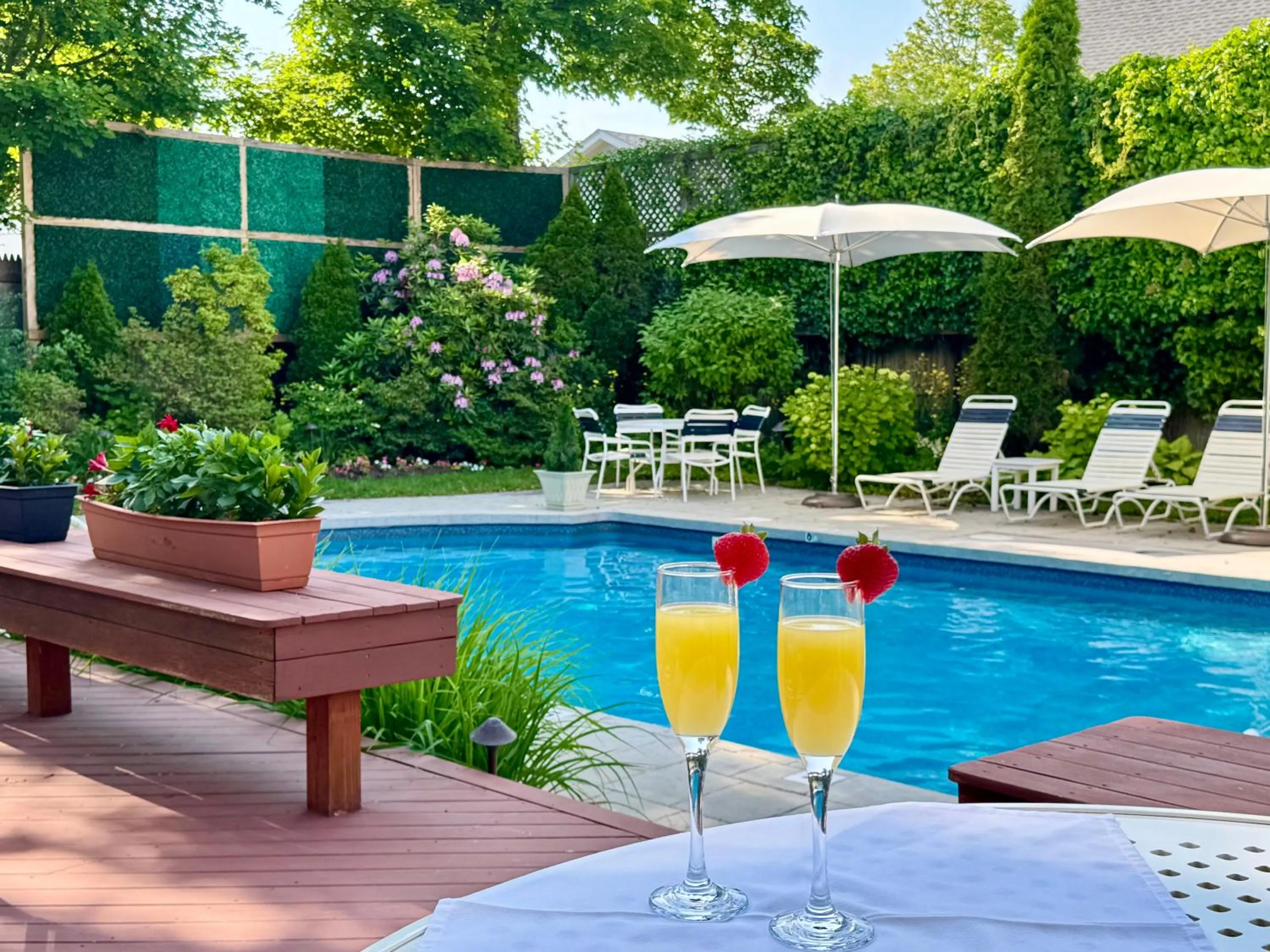 Pool view in The Winstead Inn