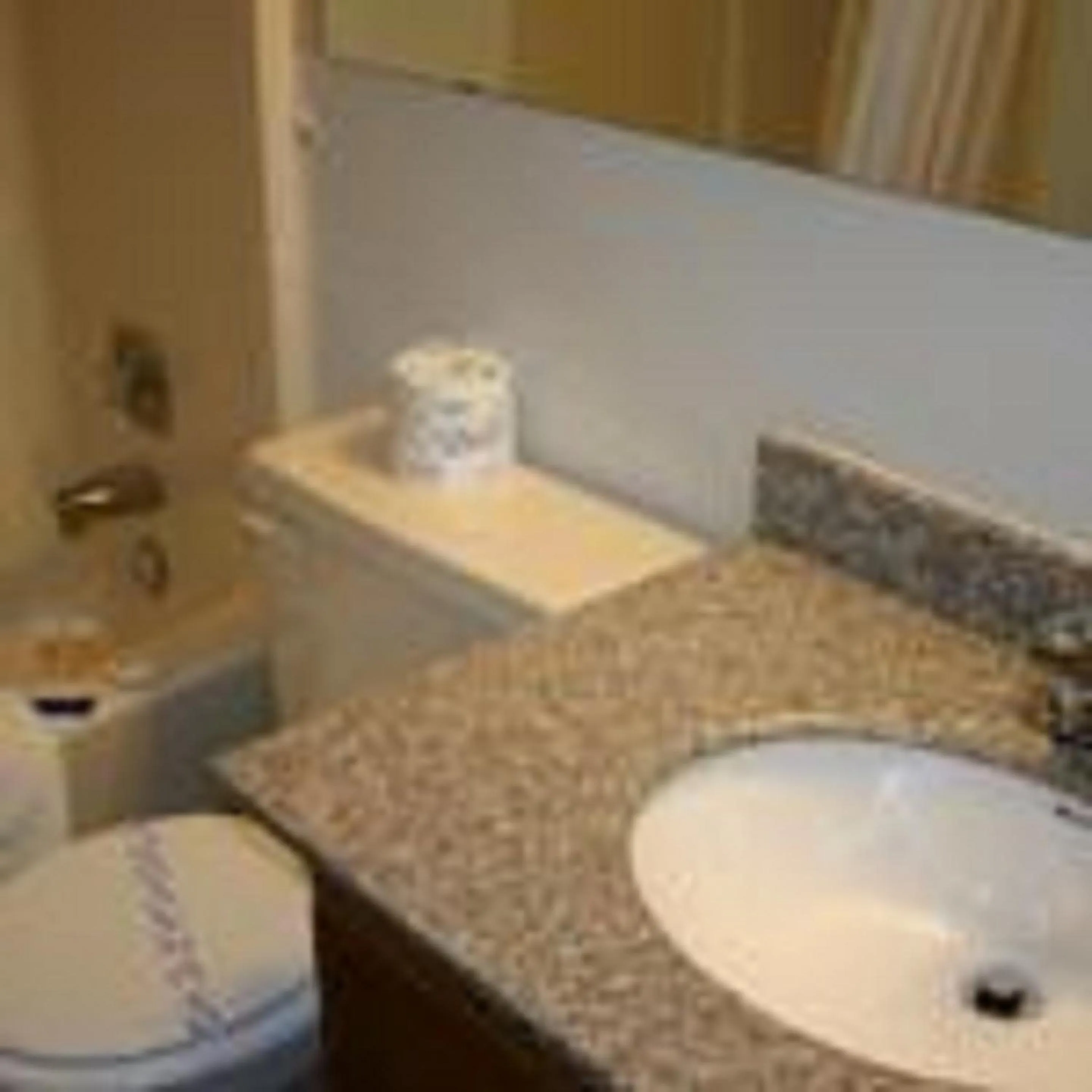 Bathroom in Pleasant Valley Motel Houston