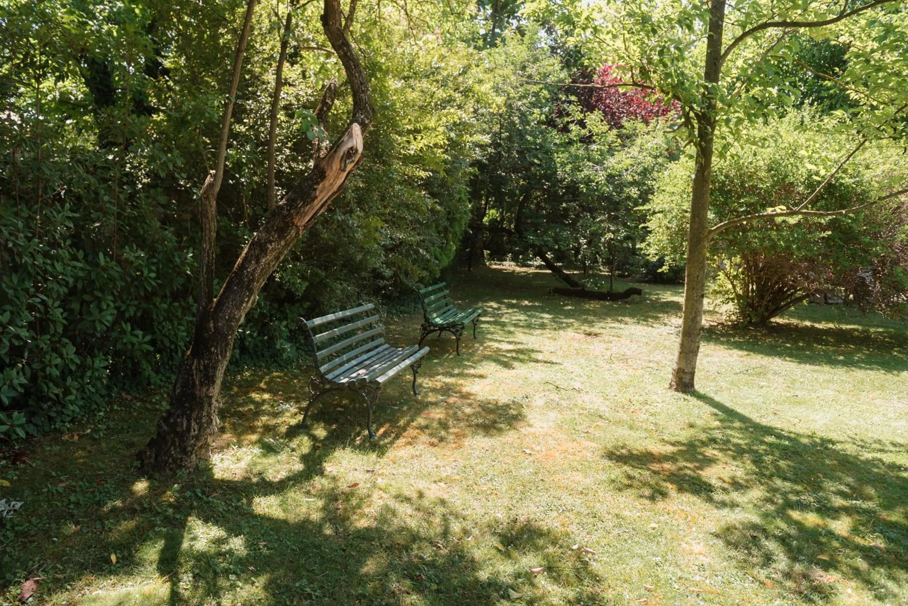 Garden in Hotel La Residenza