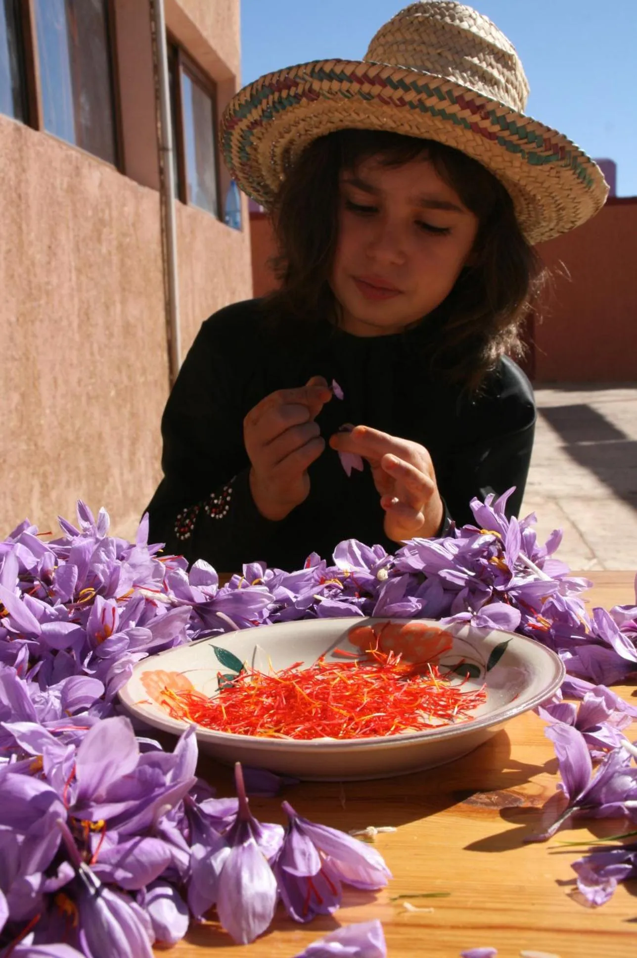 Entertainment in Auberge Restaurant le Safran
