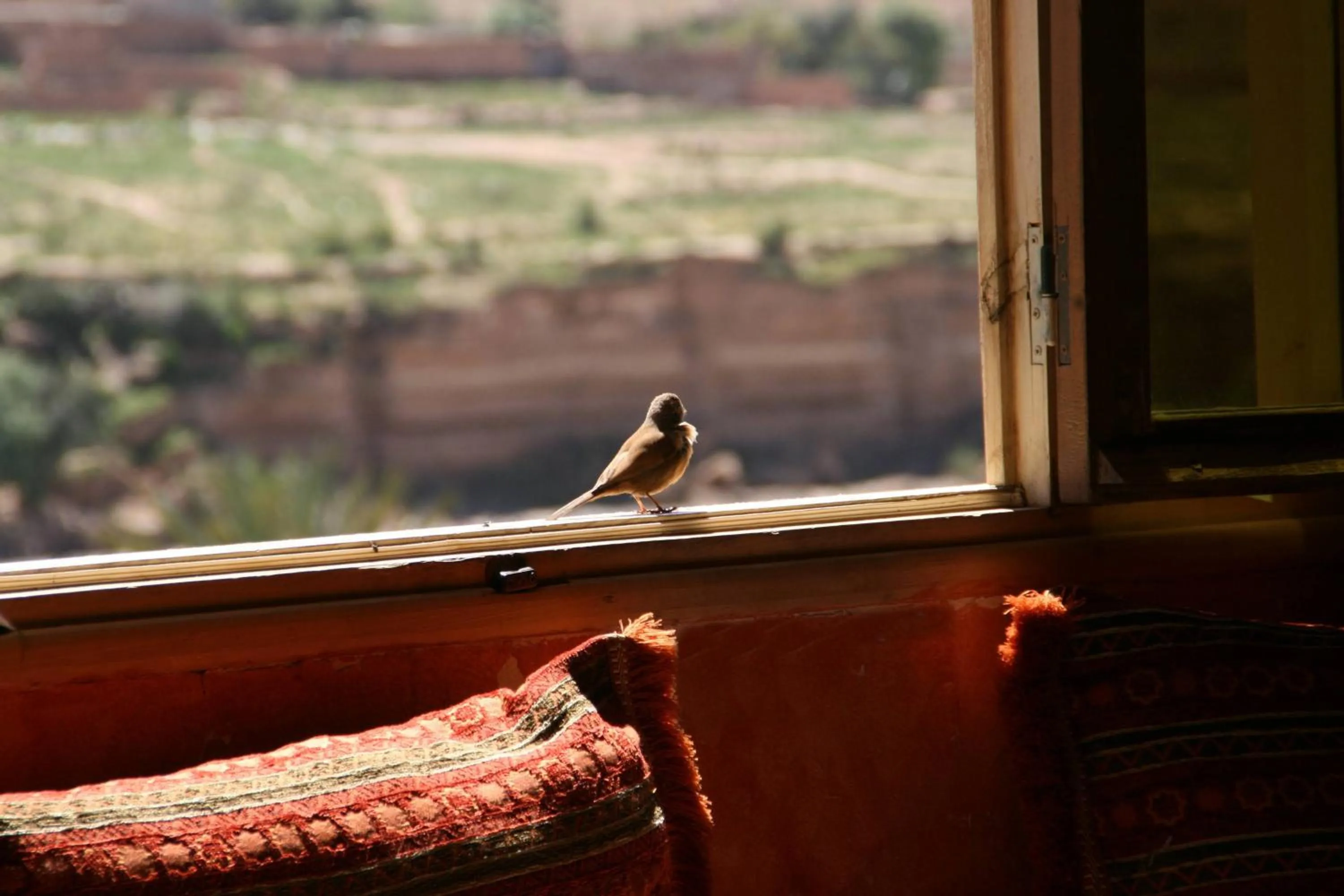 Other in Auberge Restaurant le Safran